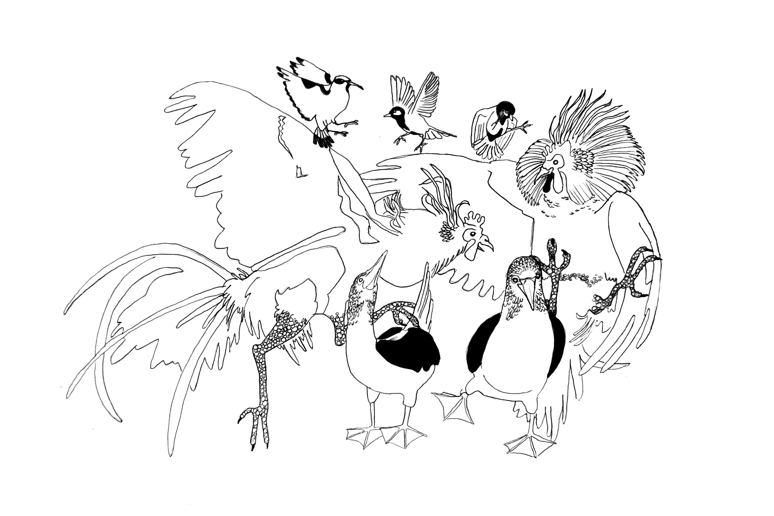 birdorgy.jpg