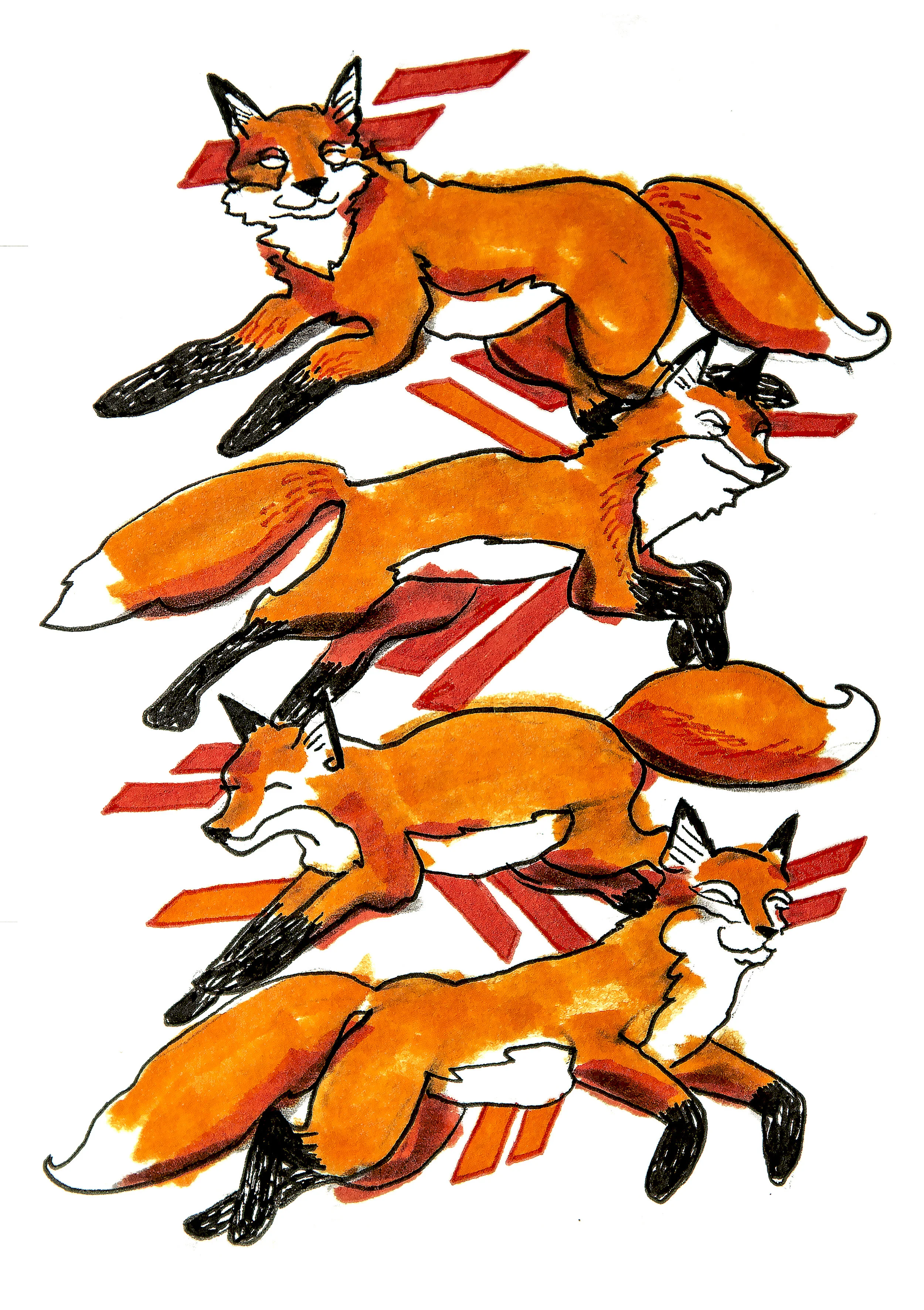 fourfoxes geometry.jpg