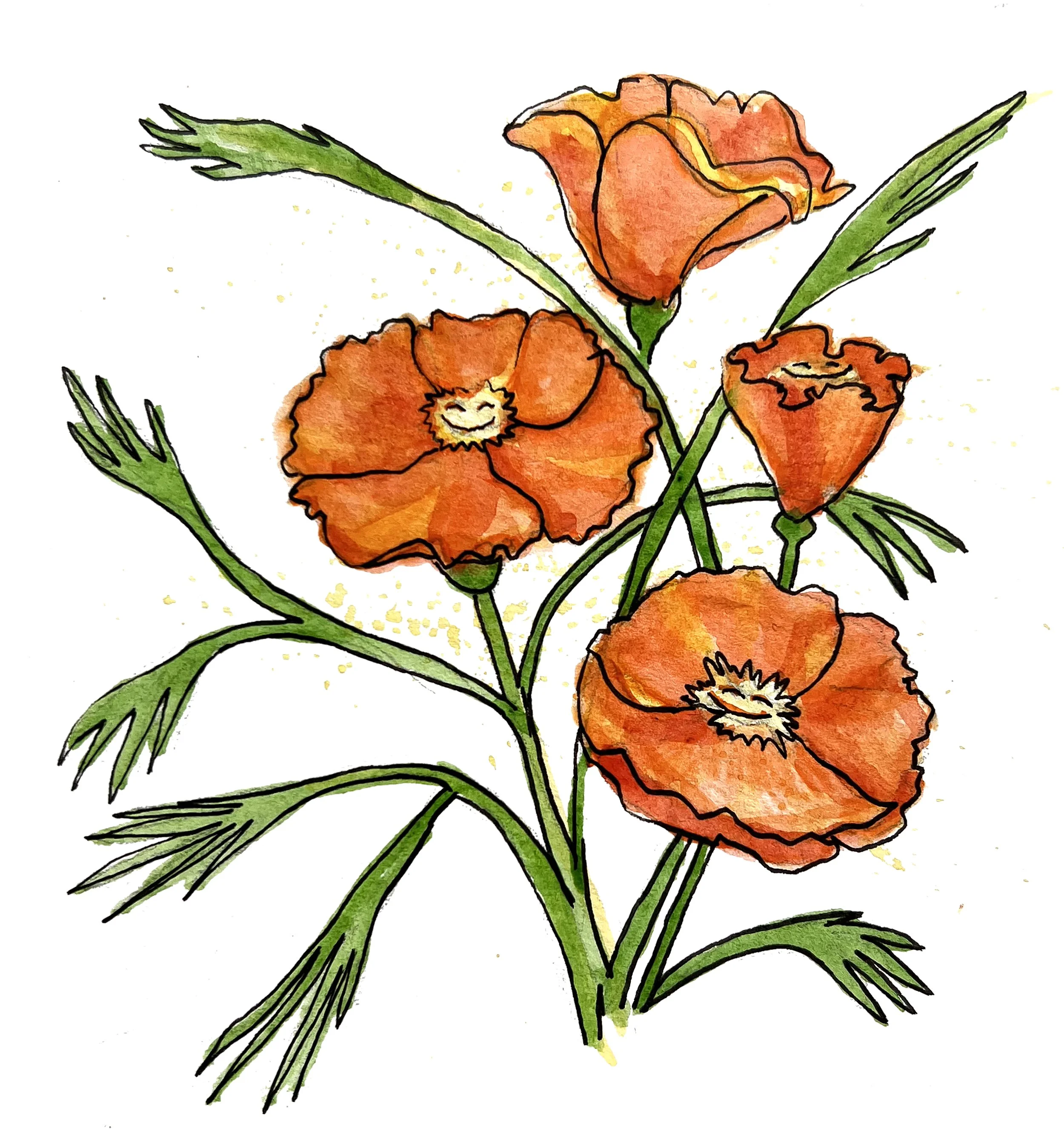 happy poppies 1.jpg