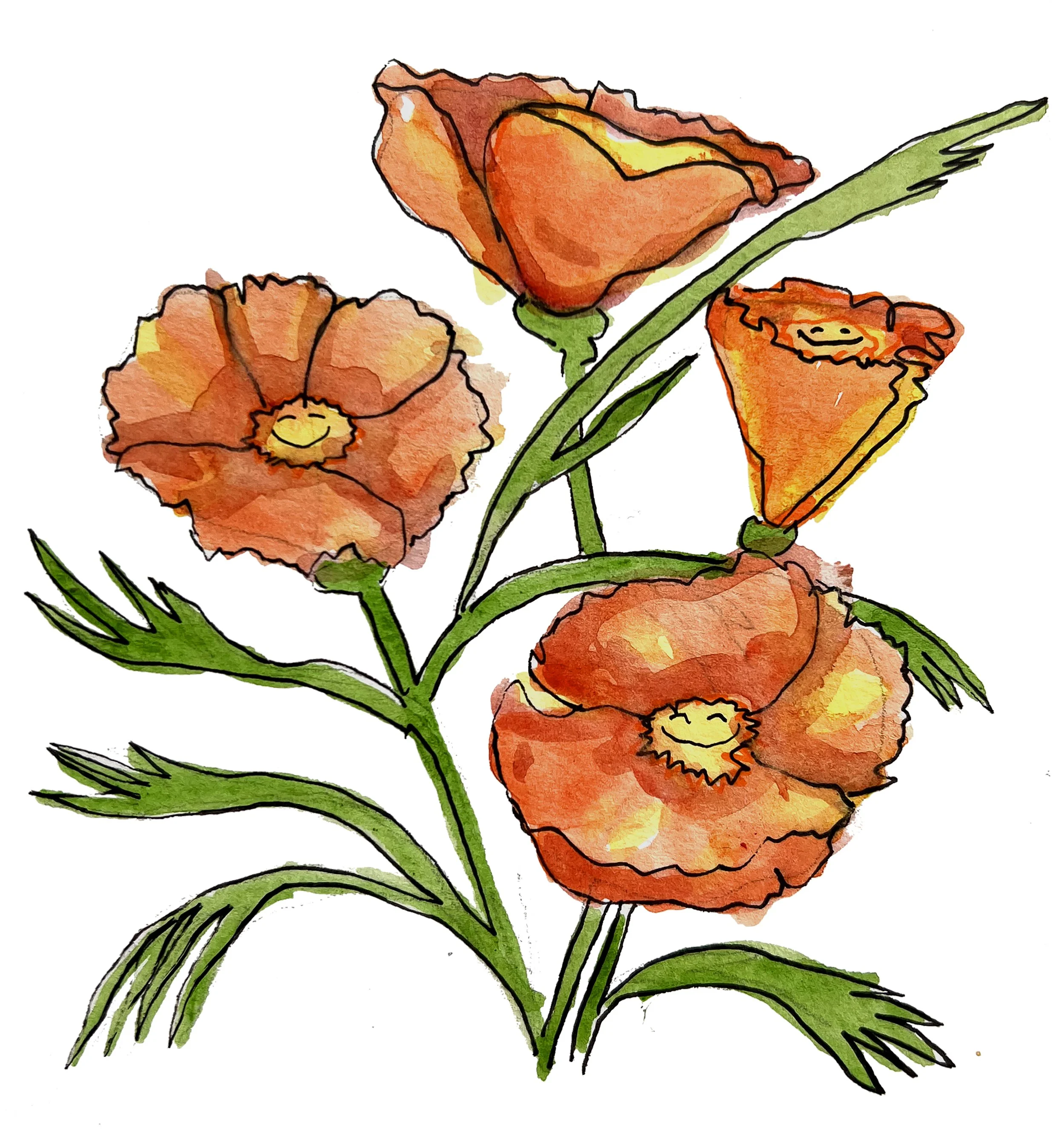 happy poppies 2.jpg