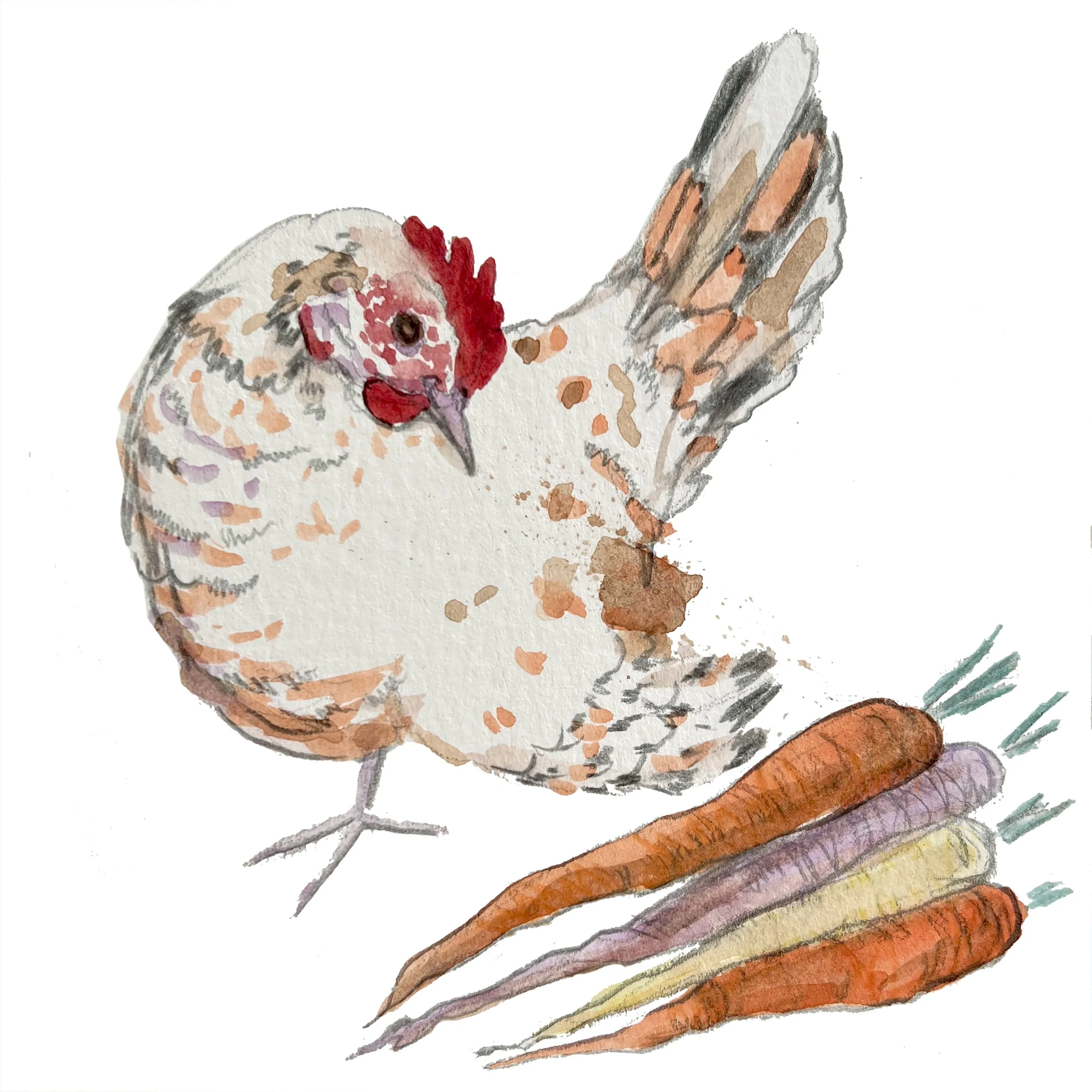 french hen.jpg