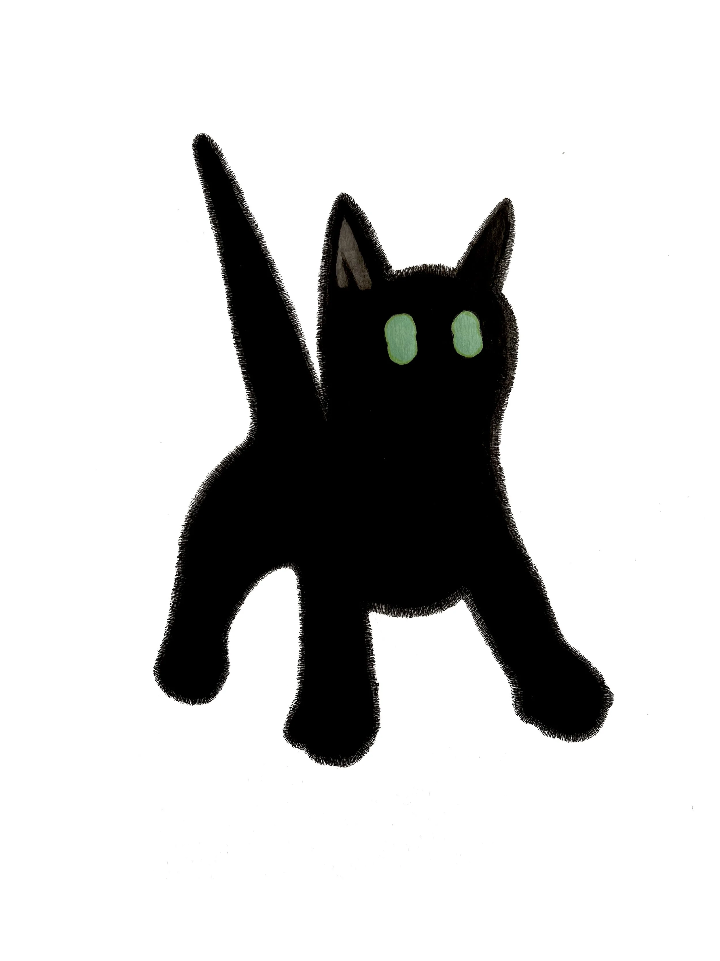 spooky kitty.jpg