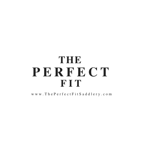 THEPERFECTFITLogo.png