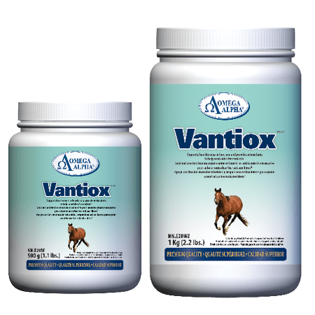 Vantiox-Group.png