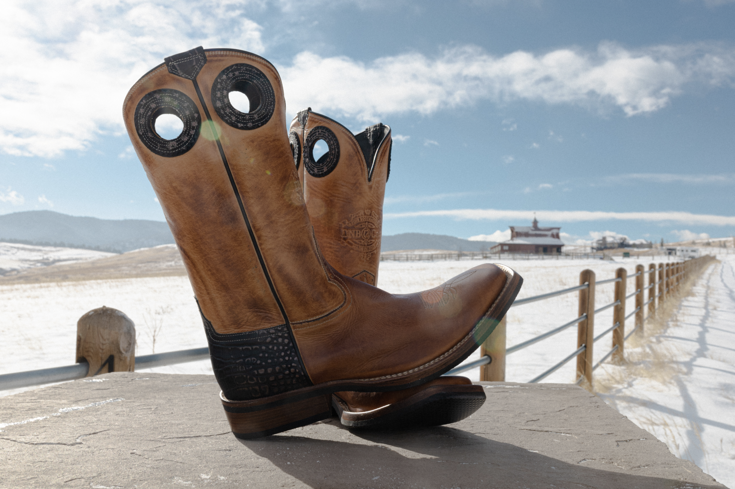 Screen Shot 2022-03-07 at 11.36.19 AM.png