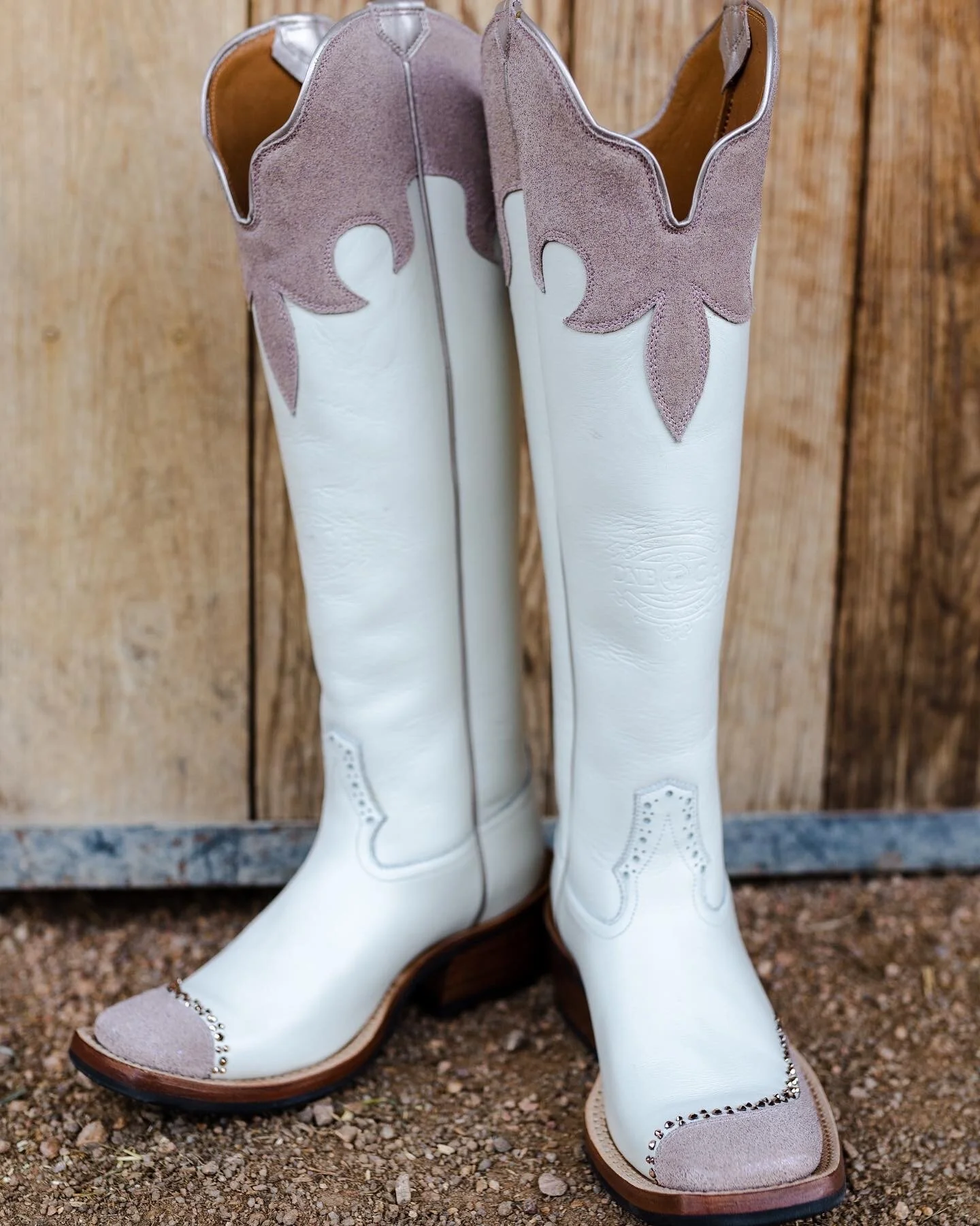 E89DE818-EC2B-4C3B-9805-AEEF9C9F0144