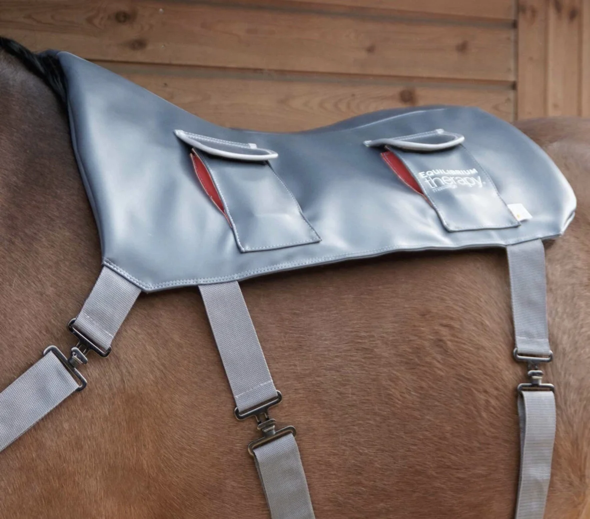 9D889ED3-DEFC-408D-8473-BE000C3A341F