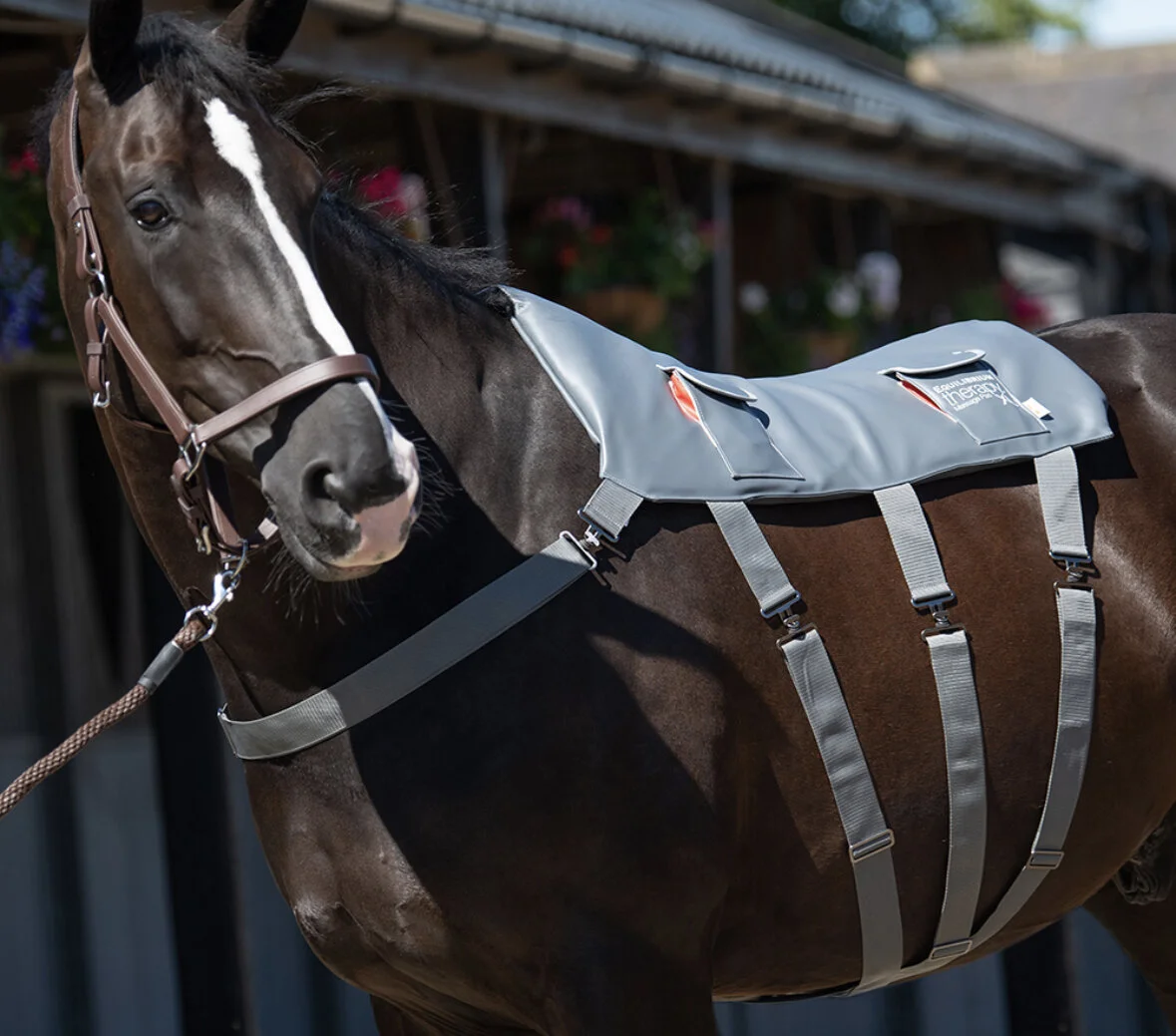 B0D1928C-82CD-4239-961D-F63248B11B8B