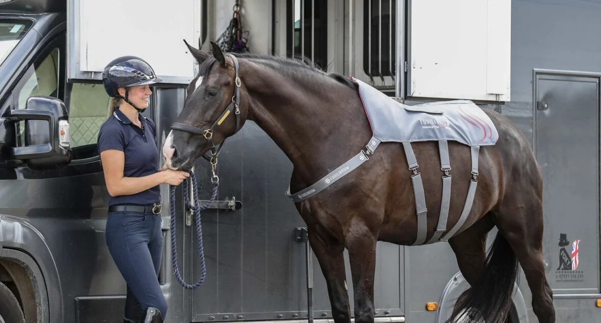 38E0CFA8-0E16-4799-9D80-3B605578D76C