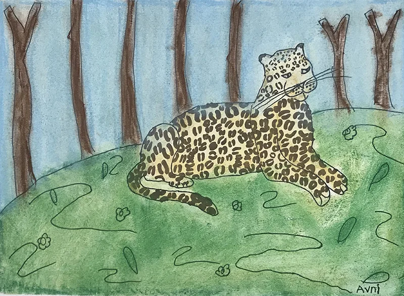 avniLeopard_sm.jpg