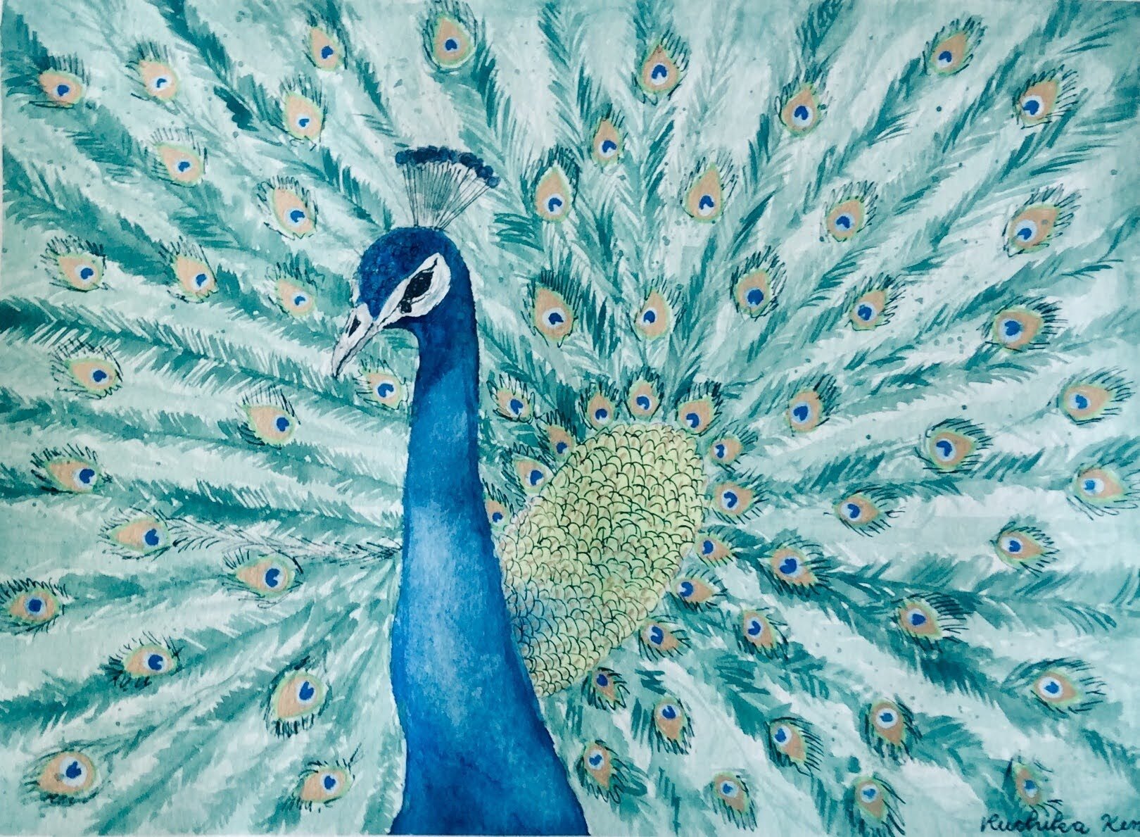 watercolor_peacock.jpeg