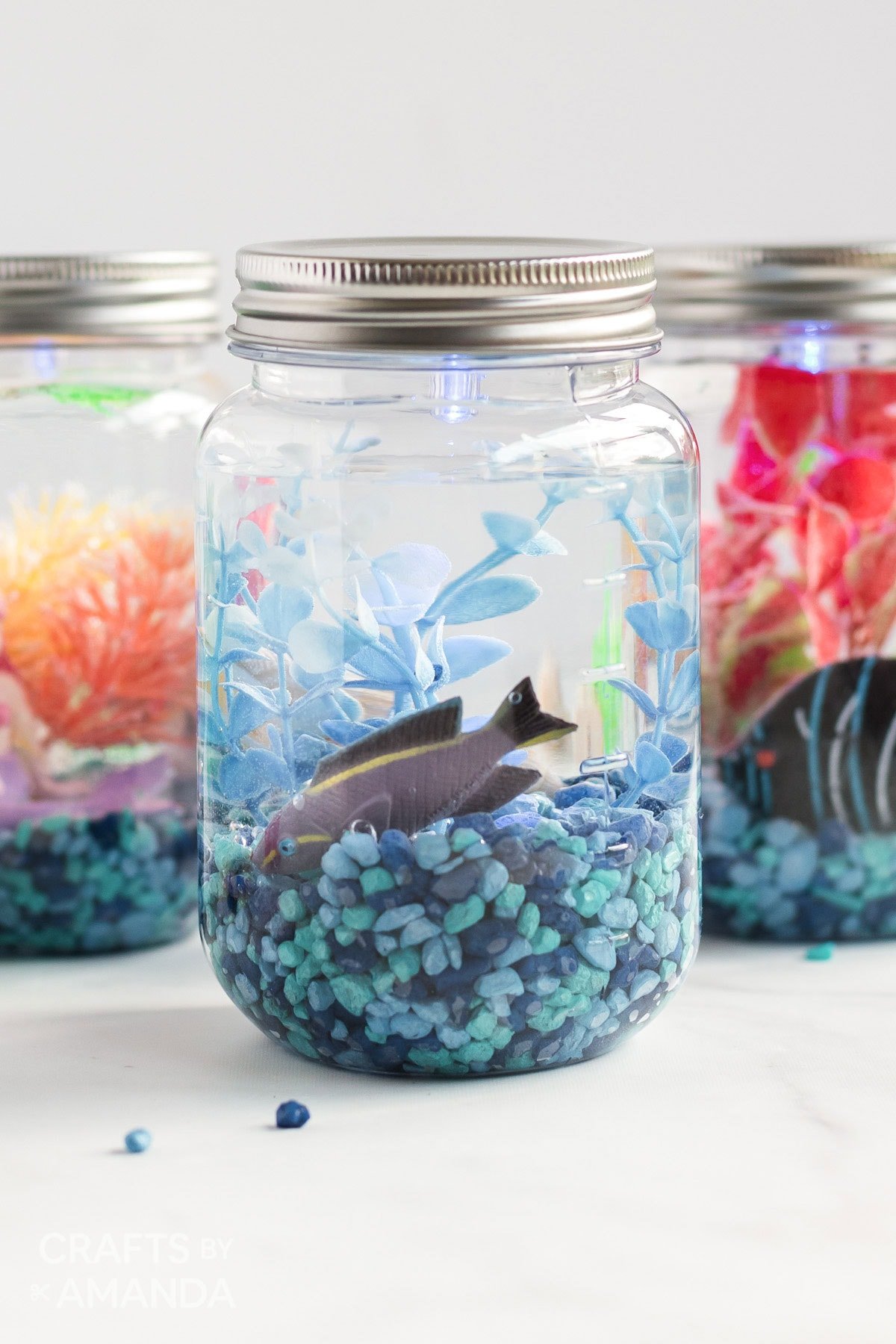 mason-jar-aquarium-V2.jpg