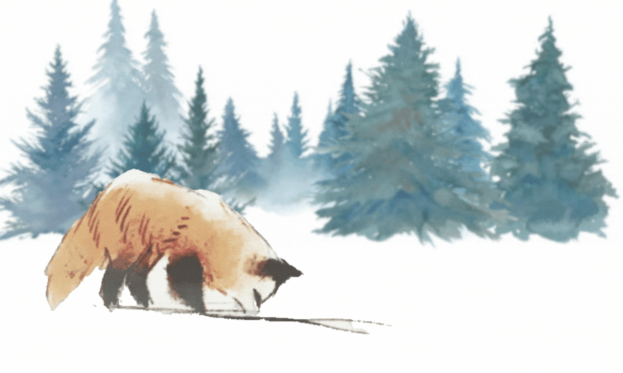 Snow_Fox_Animation.gif