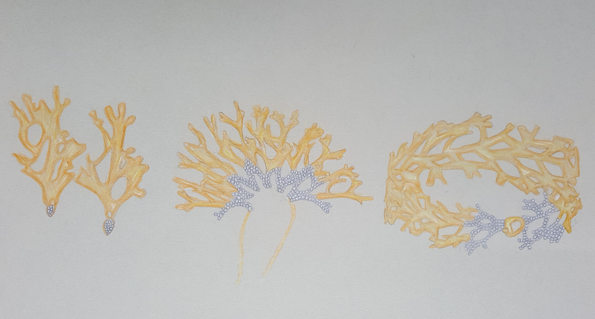 20170303_120012.png