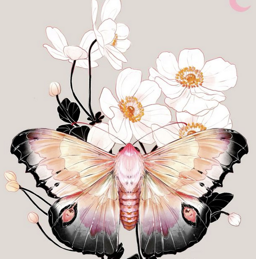 Screenshot 2026-01-12 at 3.42.26 PM.png