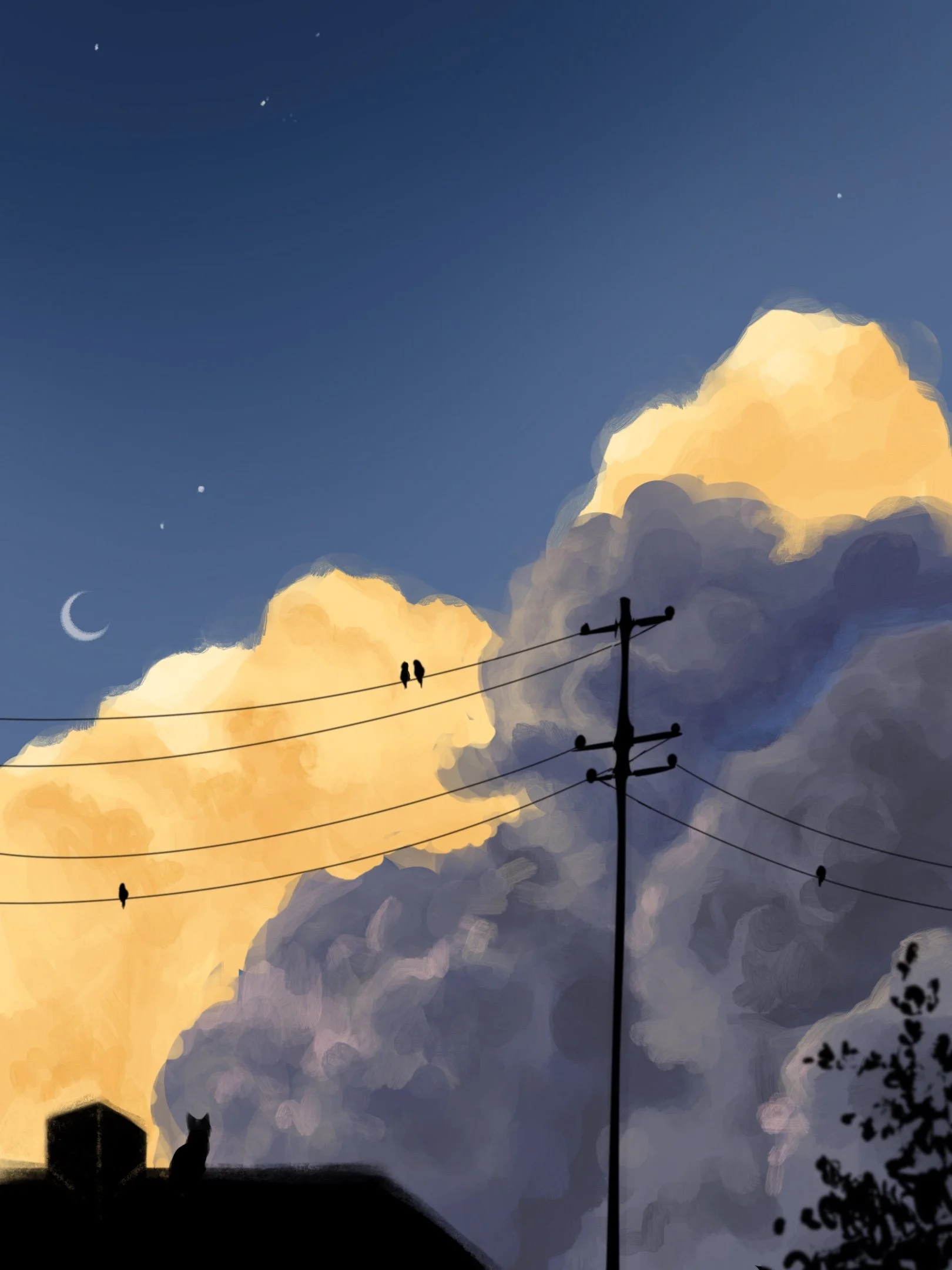 Untitled_Artwork 87.jpg