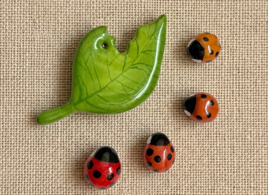 ladybugmagnets.png