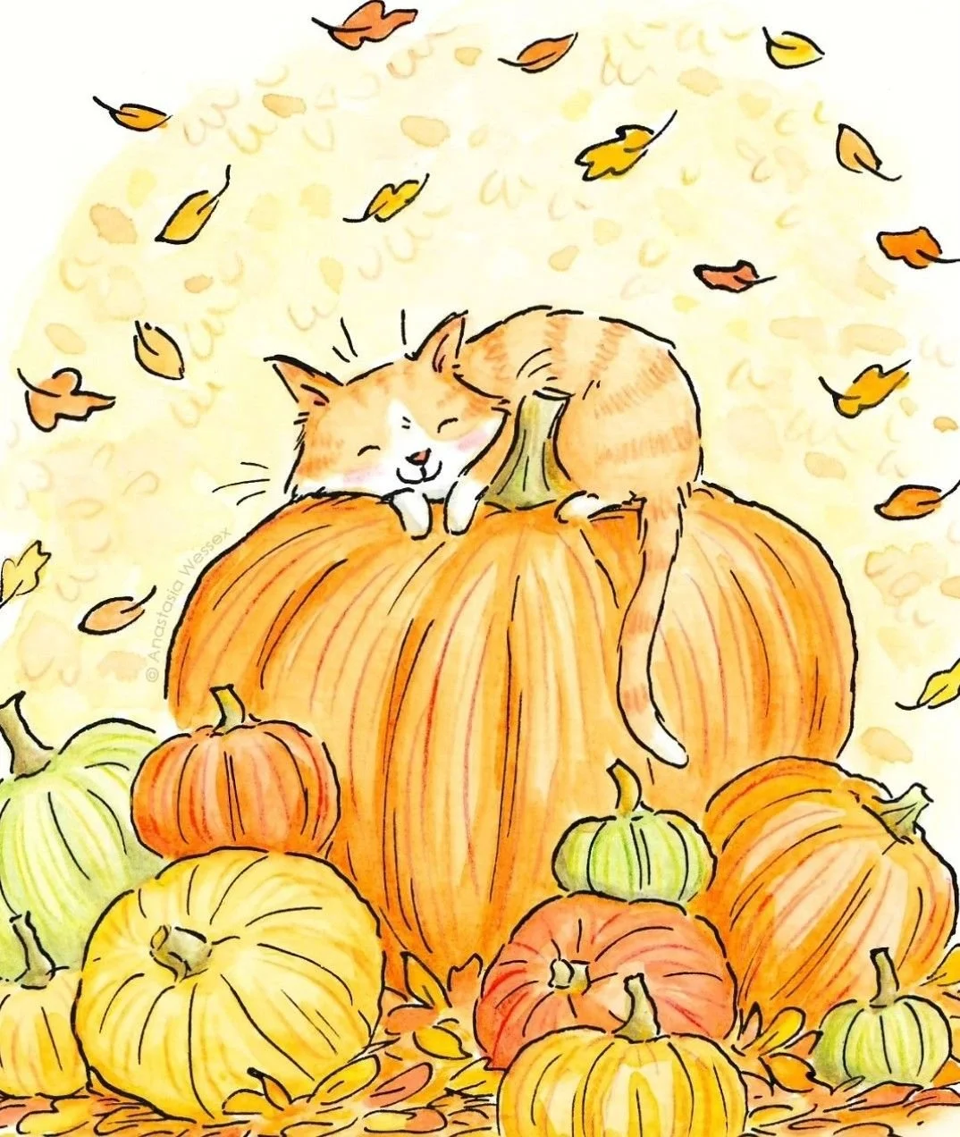Fall_Cat.jpg