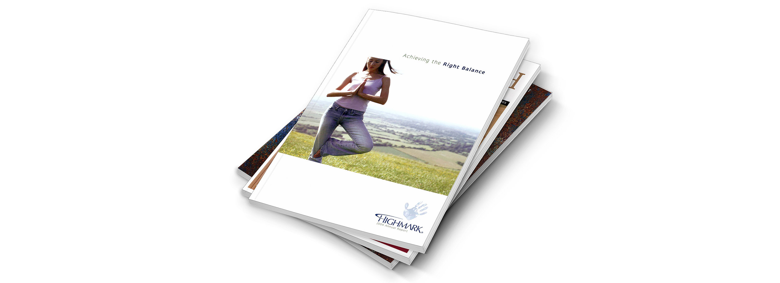 Annual Reports / Catalogs / Brochures