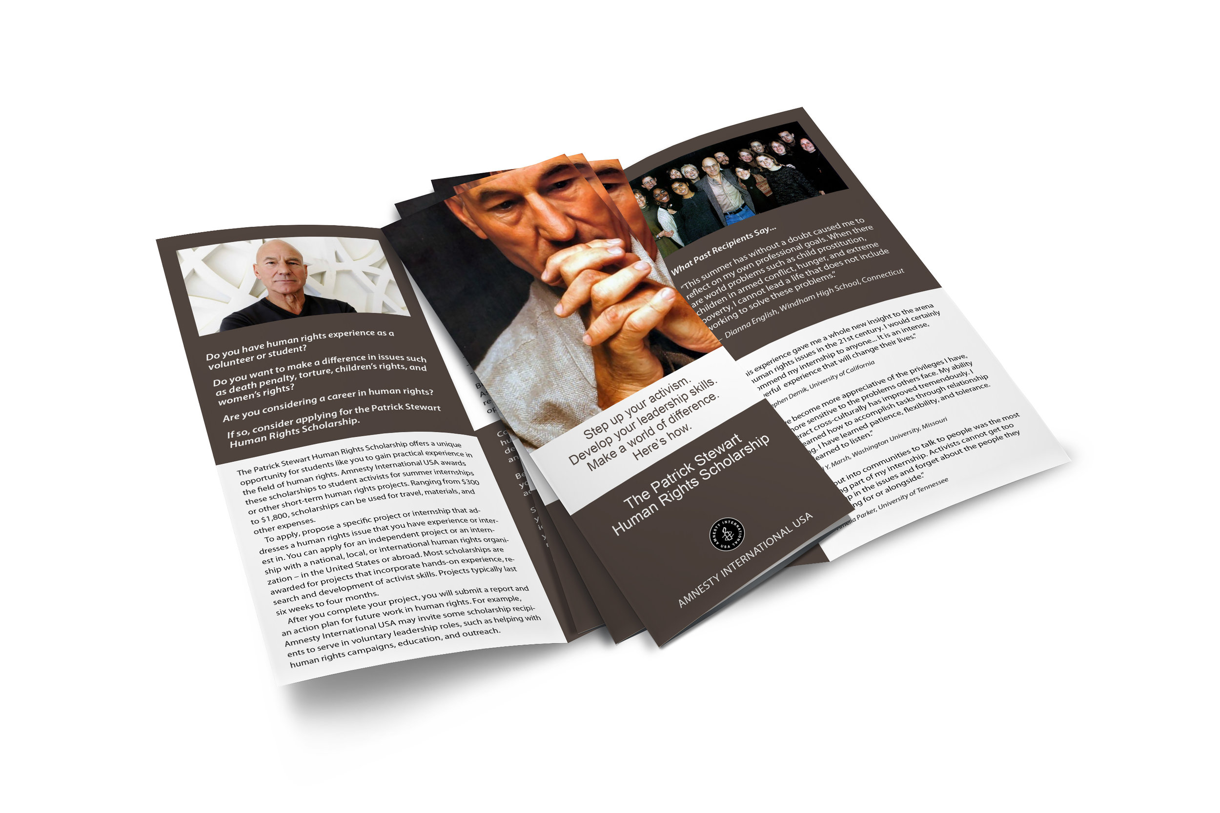AIPSS Mockup121515.jpg