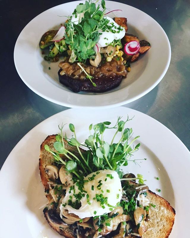 We are opened all weekend regular hours and closed Monday as we always are open till 3 today come by for steak and eggs or mushrooms on toast !!! #ottawabrunch #613ottawa #ottawaeats #ottawarestaurants #longweekend