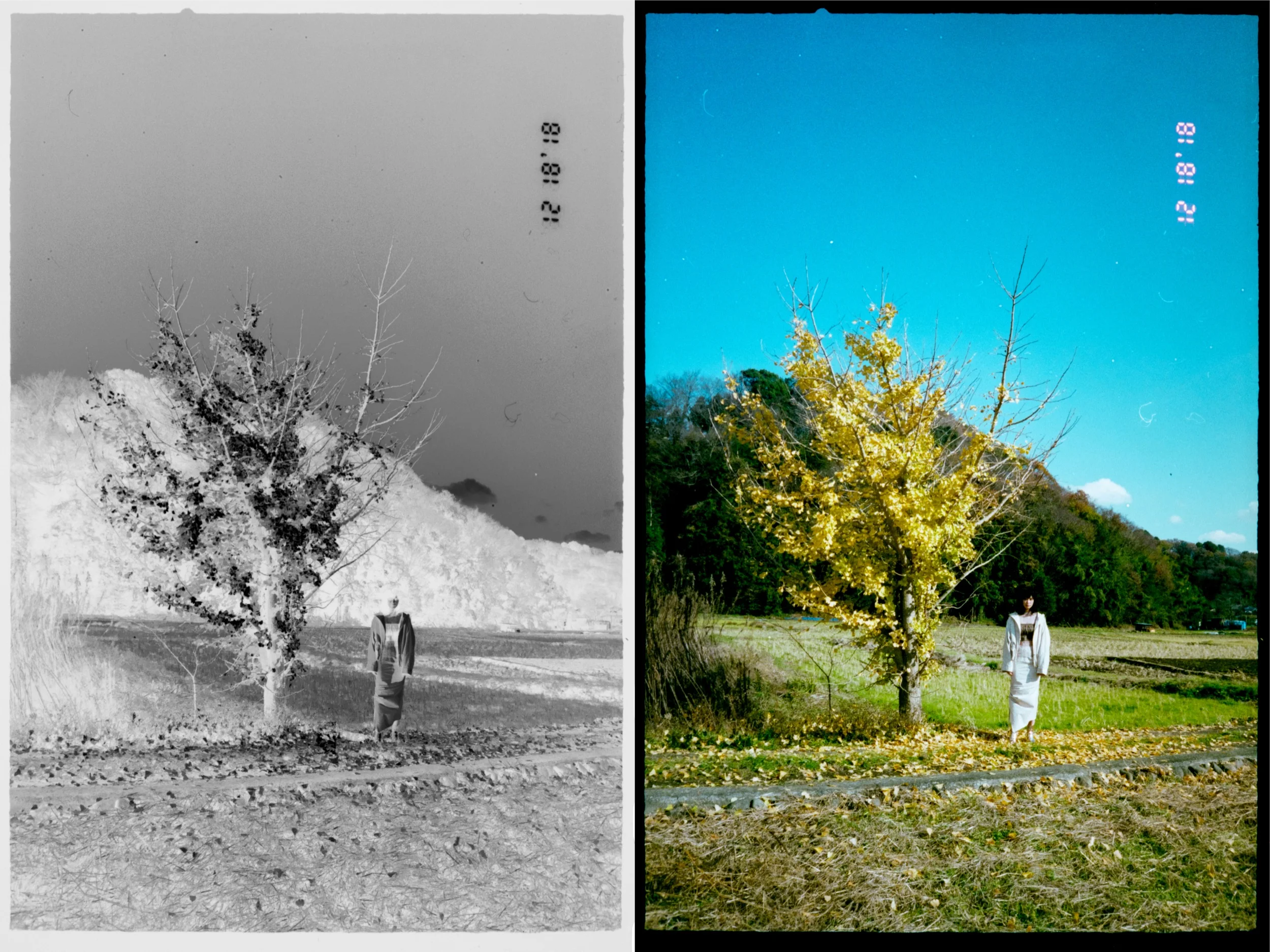 tiit 20019ss image visual