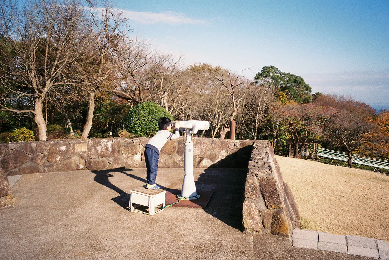 p6_sample.jpg