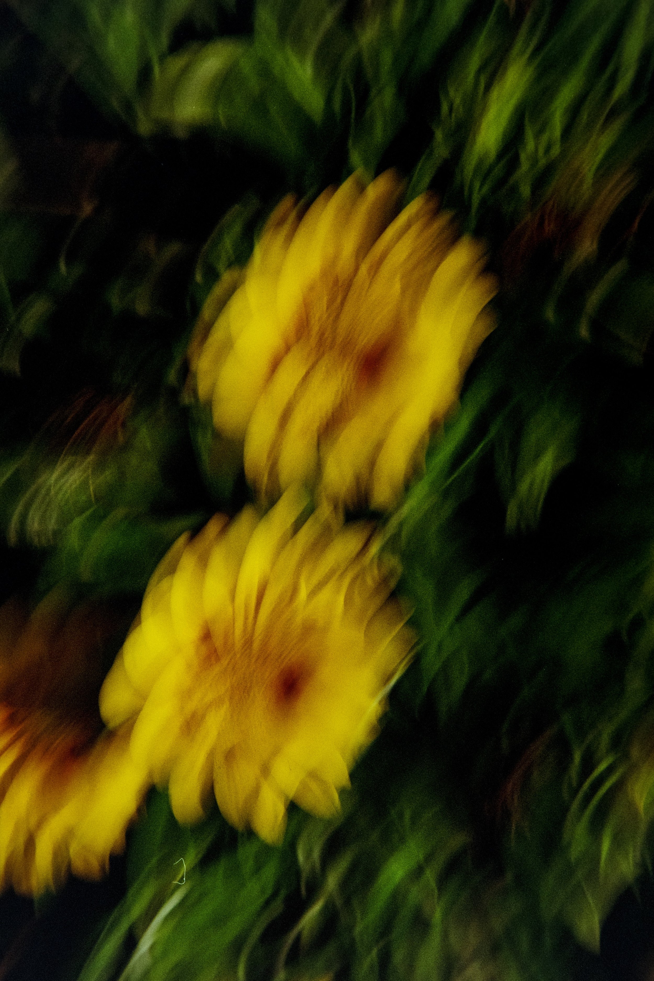 _SK01460.JPG