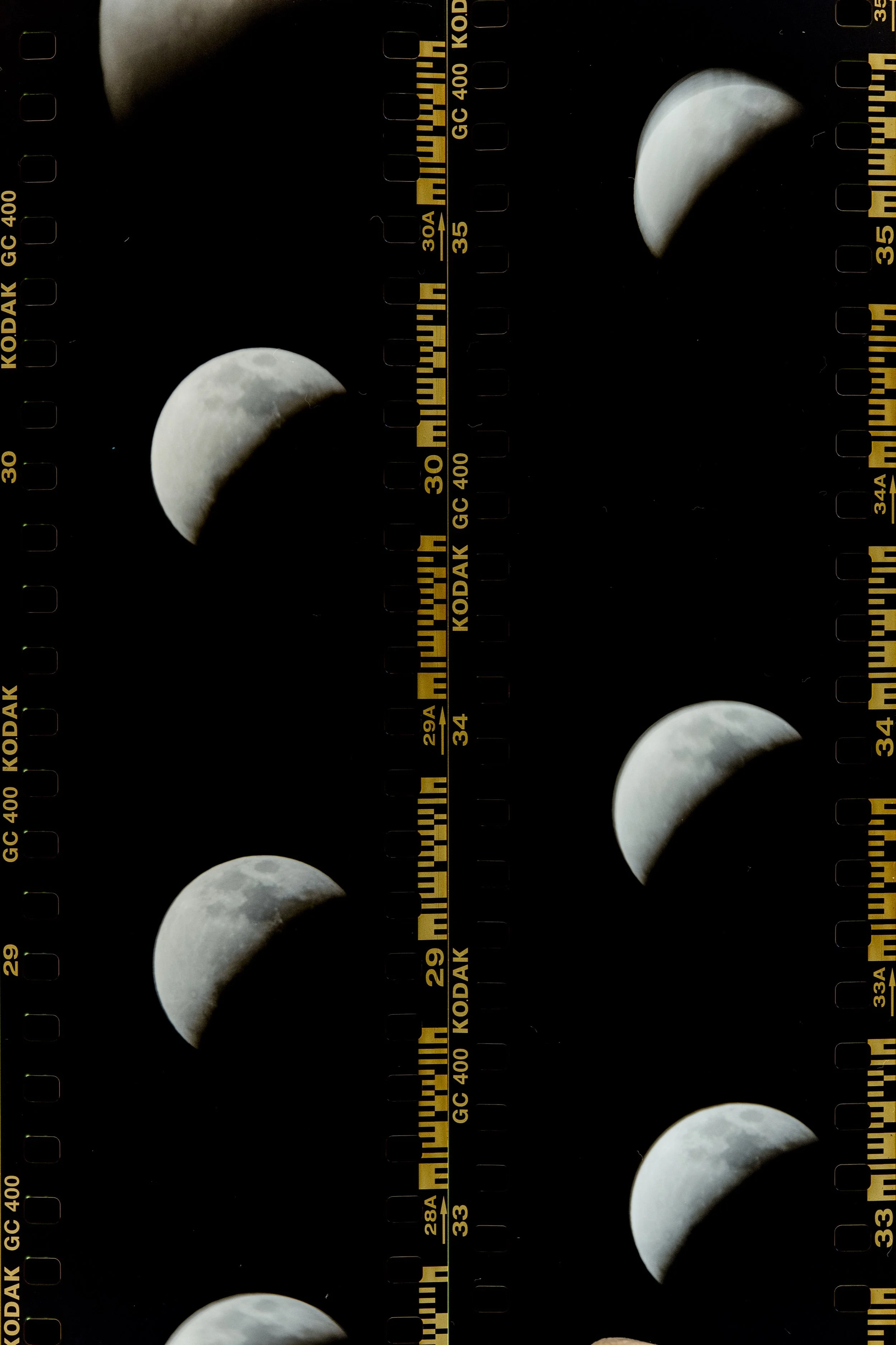 _SK04656.JPG