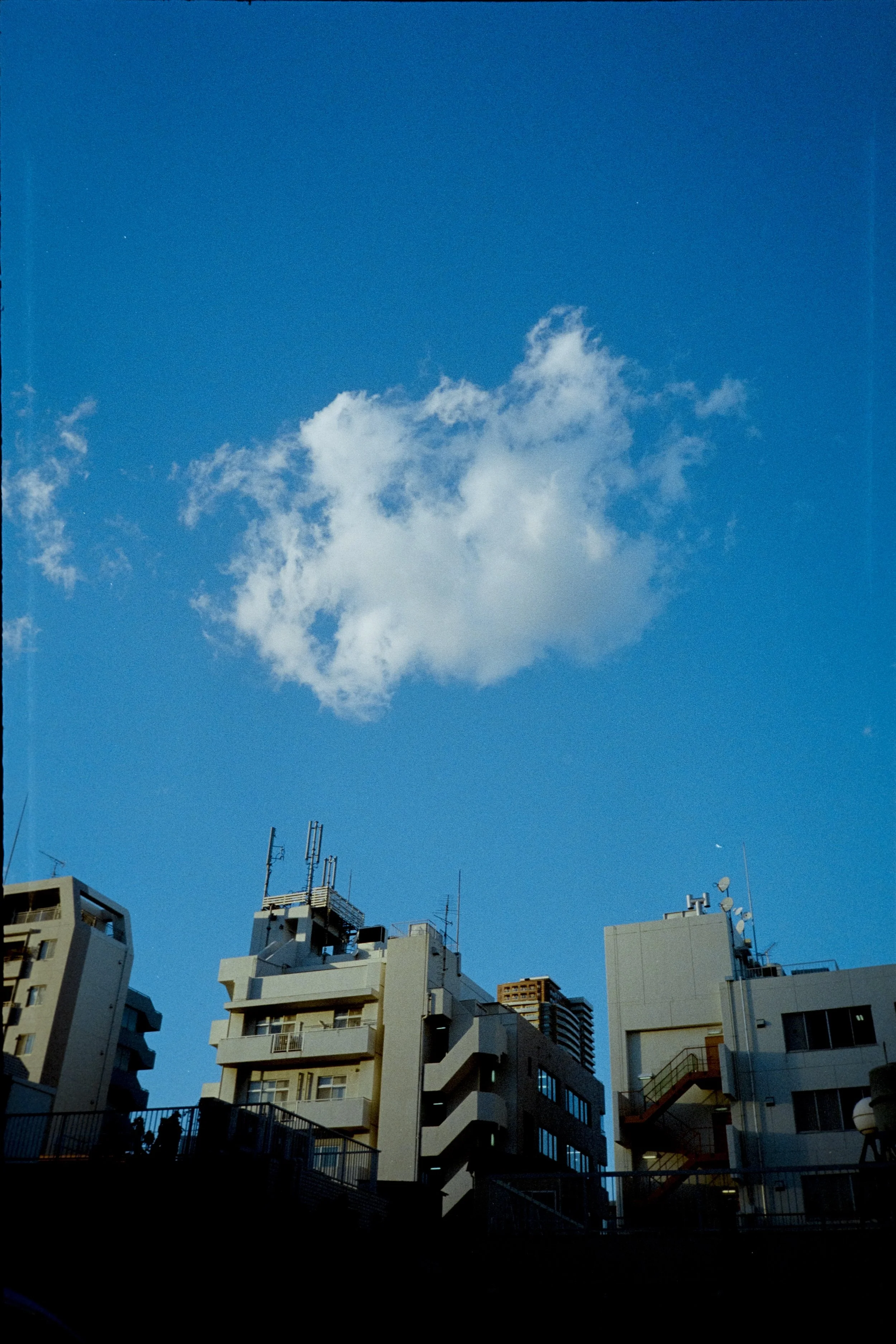 _SK07815.JPG