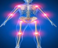 Fibro.jpeg