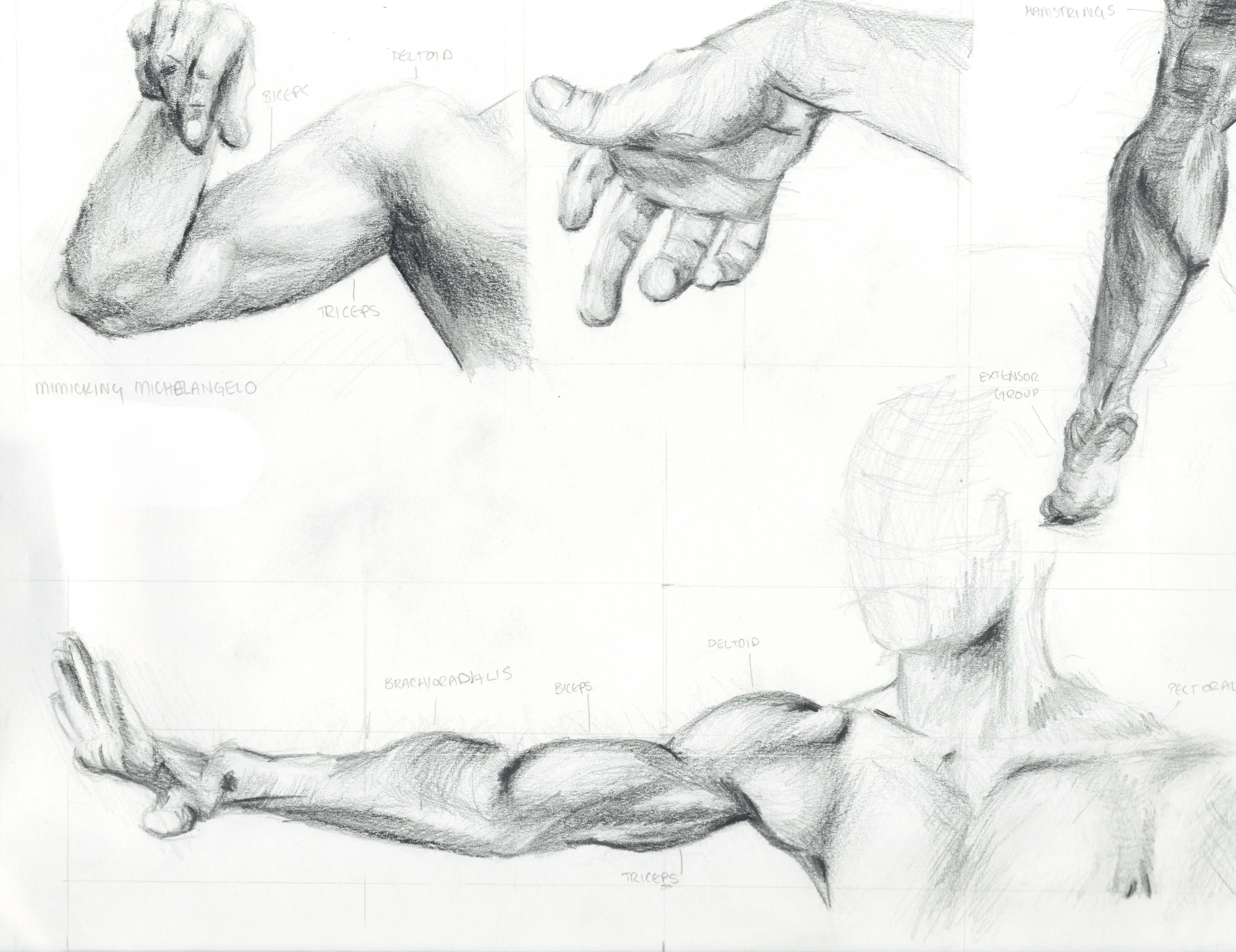 mimicking michelangelo no name.jpg