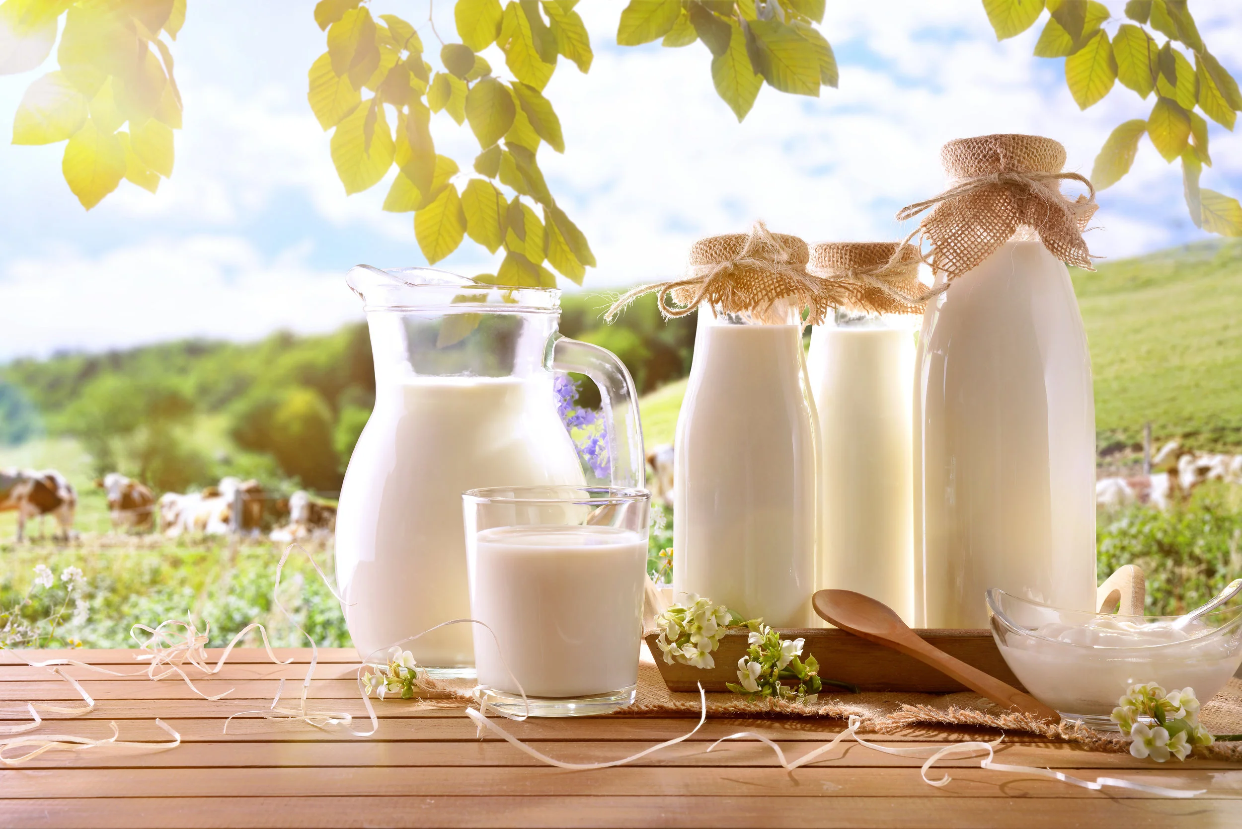 AdobeStock_Milk has lactose.jpeg