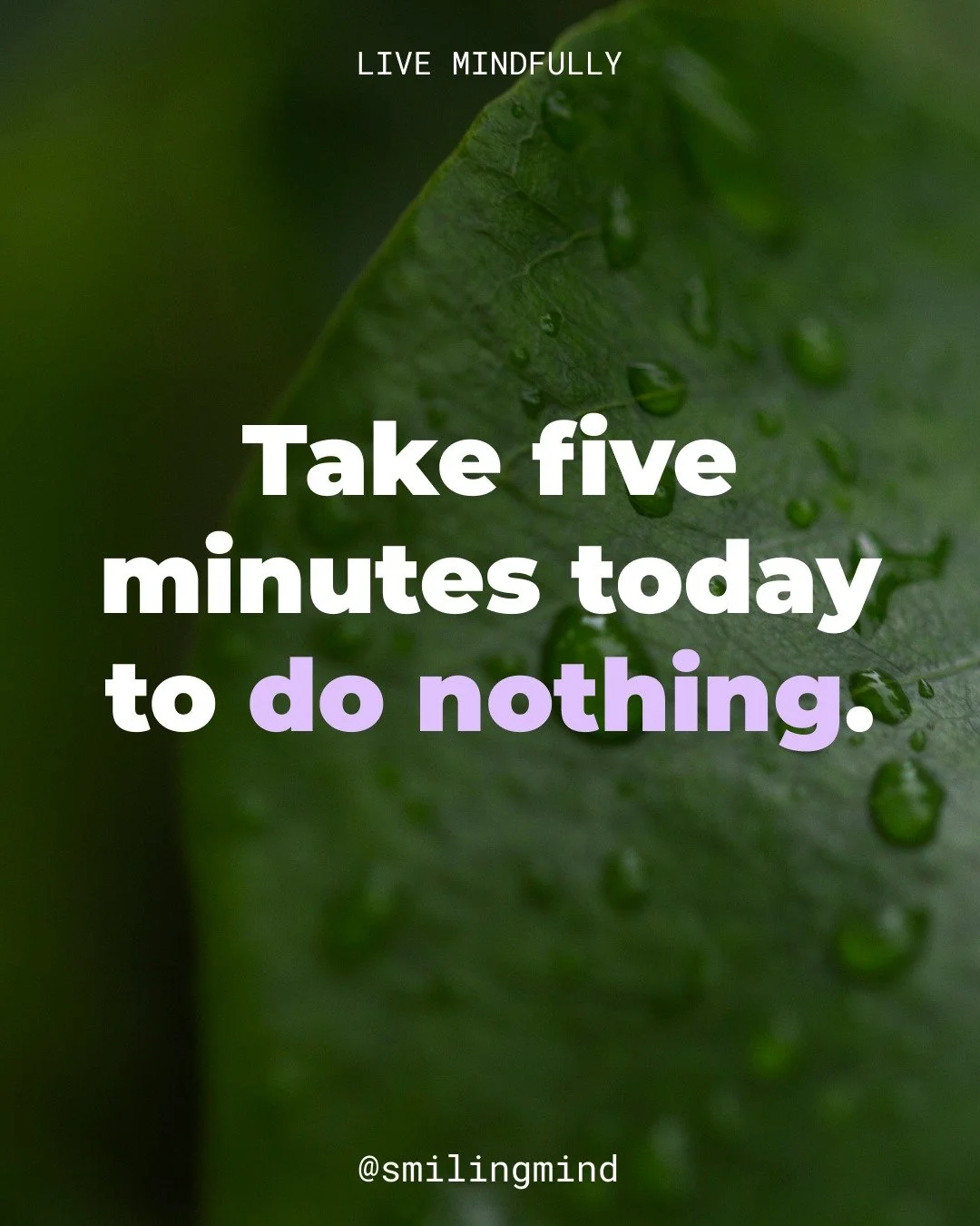 Sometimes the most productive thing we can do is absolutely nothing. 💜

Take five minutes today to pause. No screens, no distractions, just you and the present moment. What do you notice? A sound you haven't heard before? The feeling of your breath?