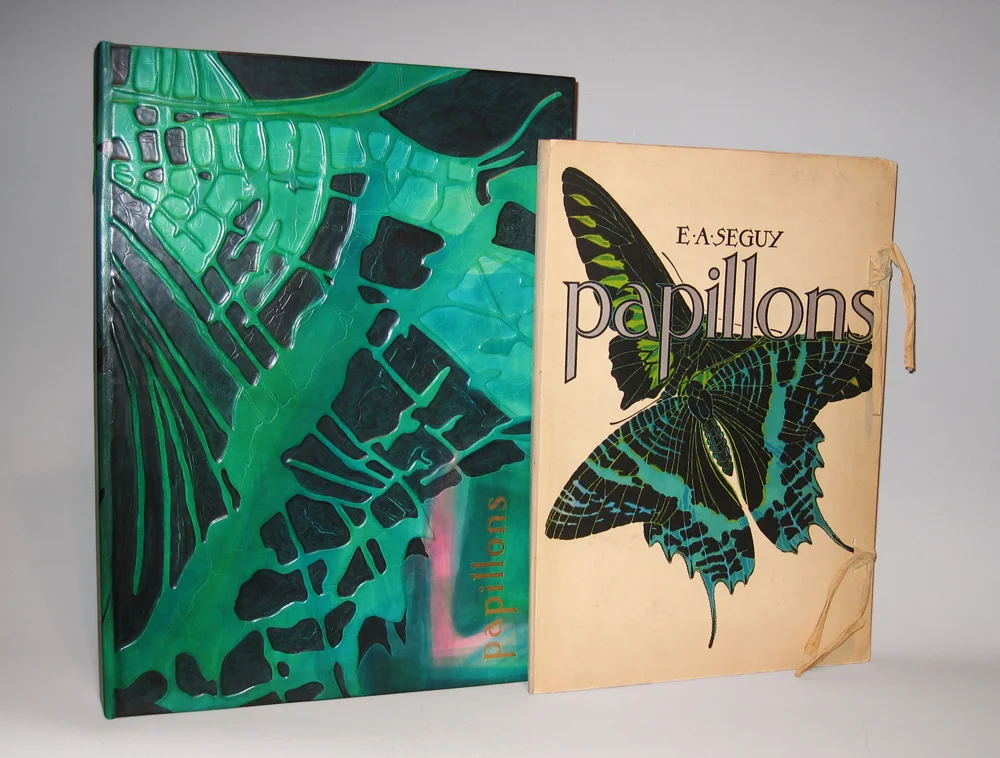 ENCLOSURE FOR E.A. SEGUY "PAPILLONS" PORTFOLIO (H:20" X W:11 1/8" X D:5/8"; HAND DYED, PAINTED CALF LEATHER, RELIEF TECHNIQUE, HOT STAMPING)