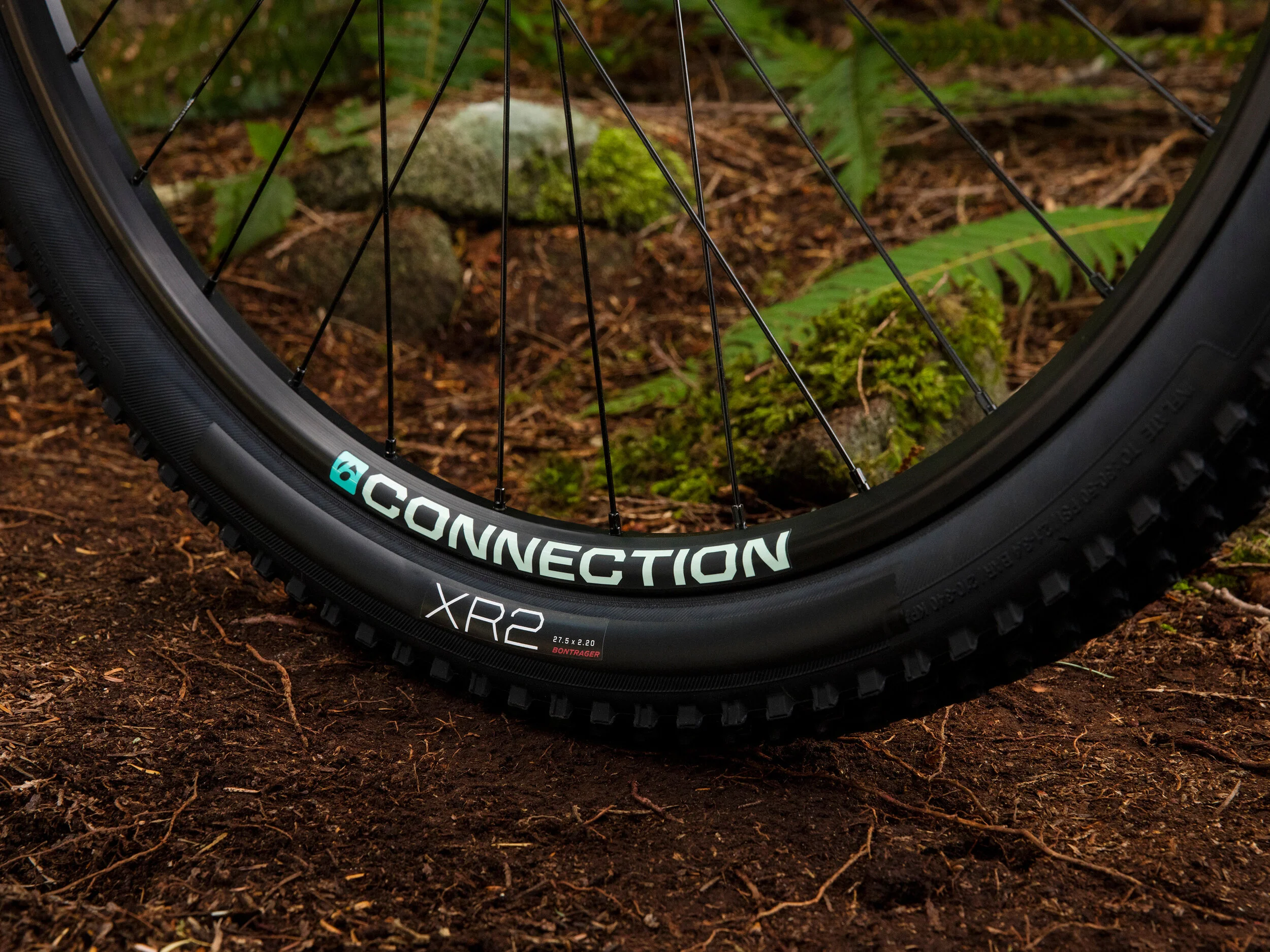 bontrager connection 29