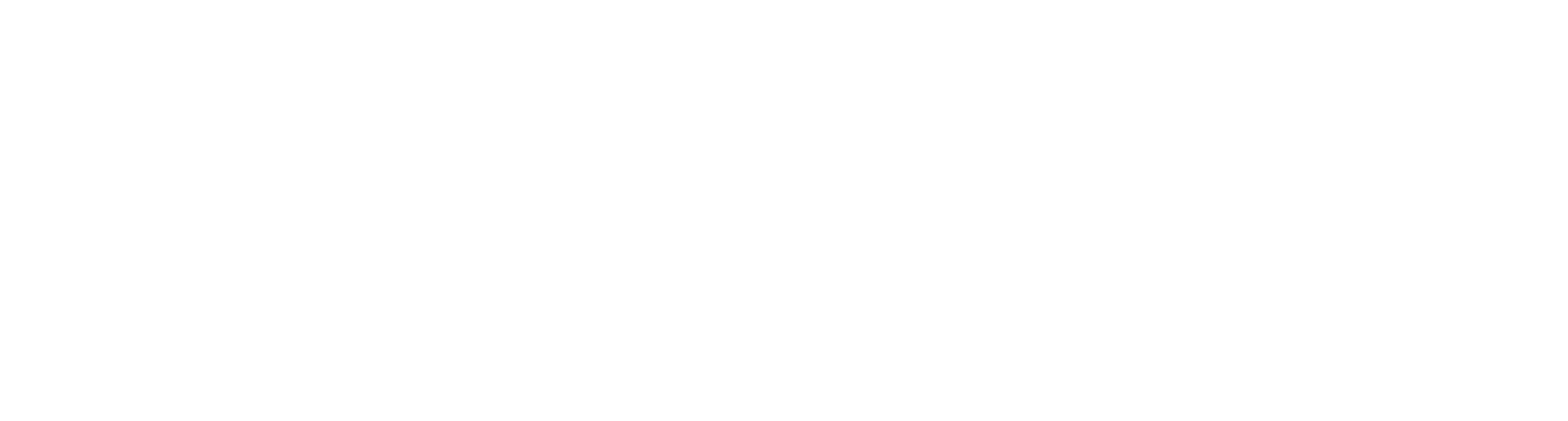 StrengthDignityLife LOGO WHITE.png
