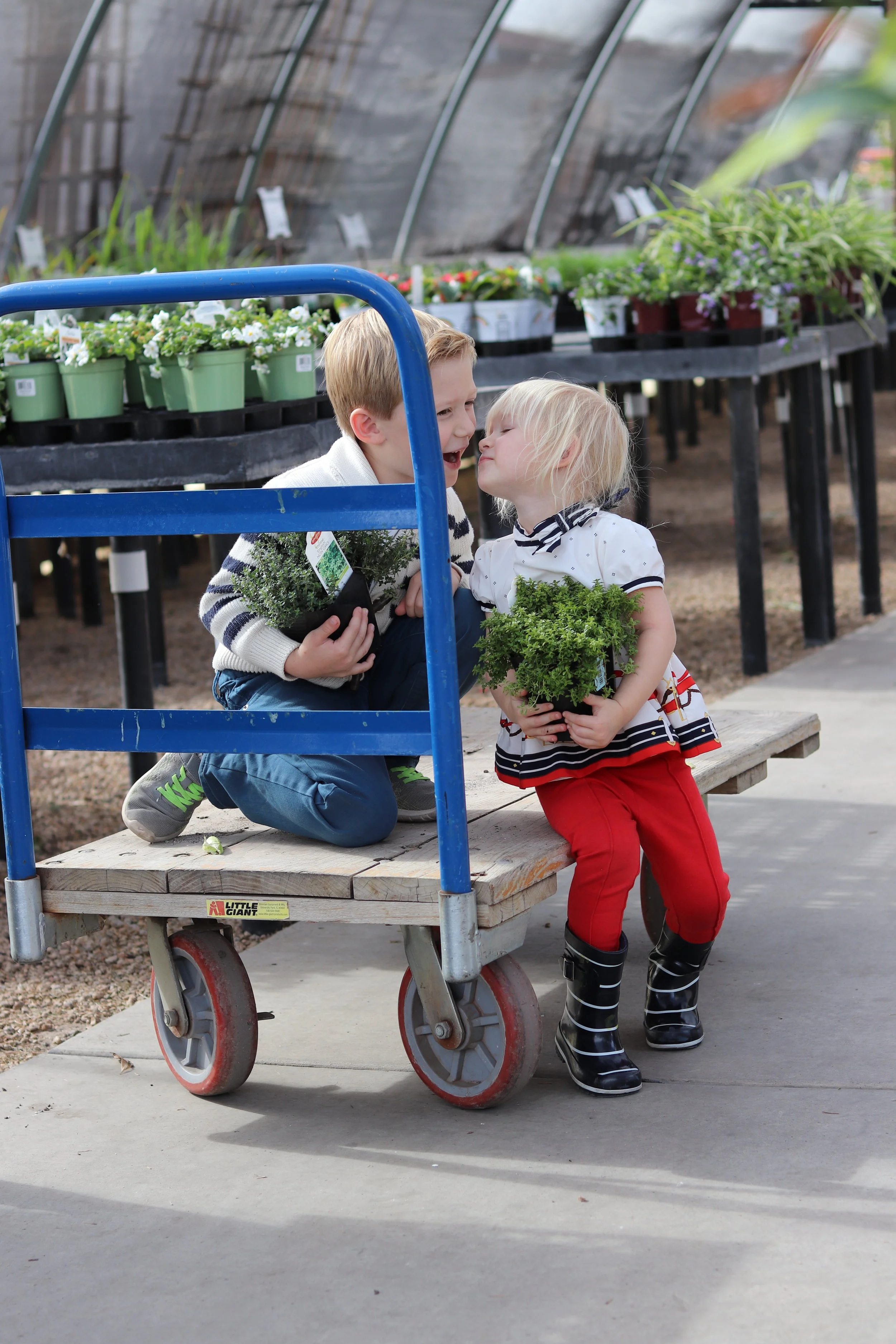 How Does Your Garden Grow?