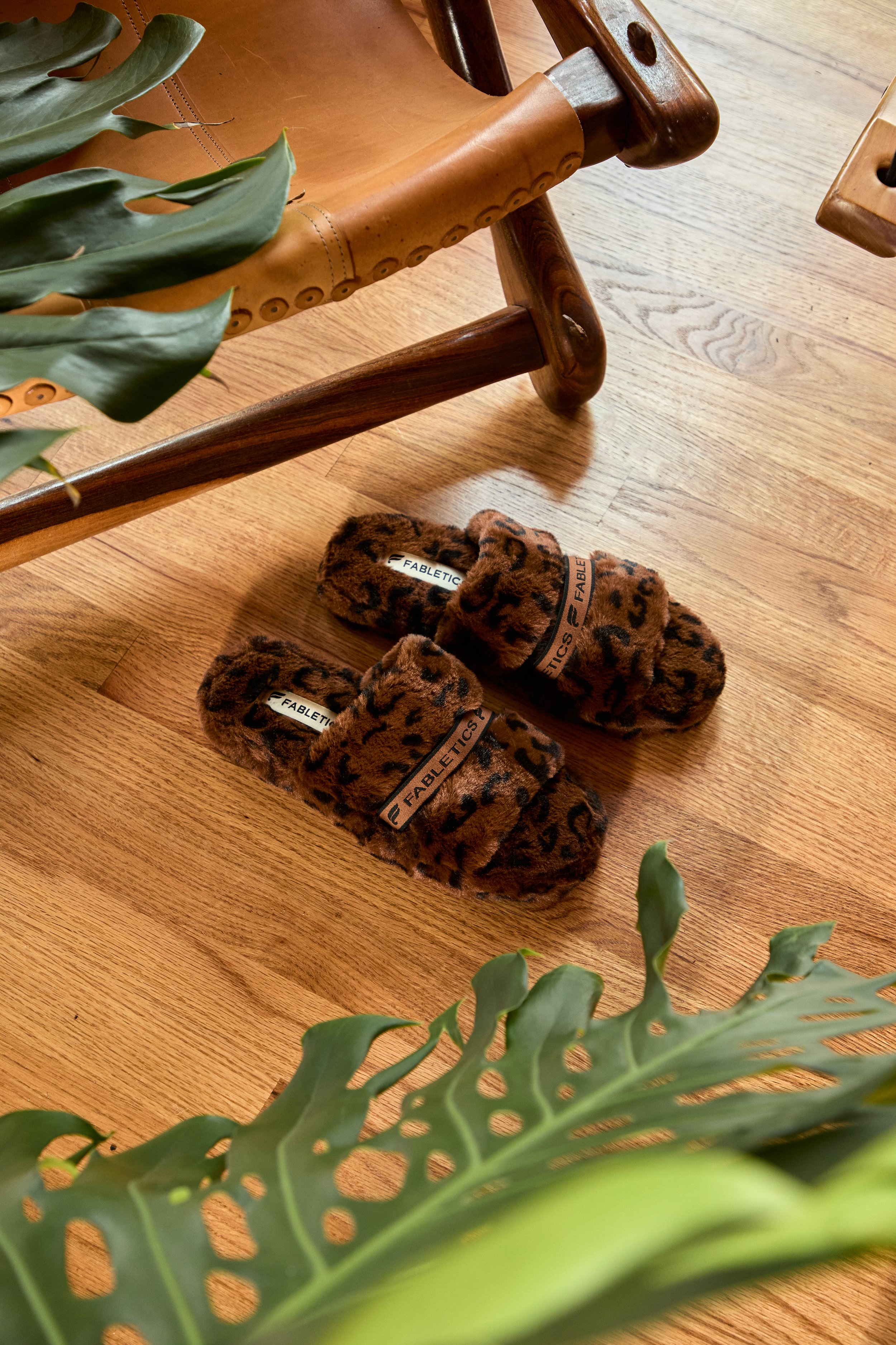 2024-08-23-©KevinAndrewLandes-Zoo-001-MSMD 81.jpg