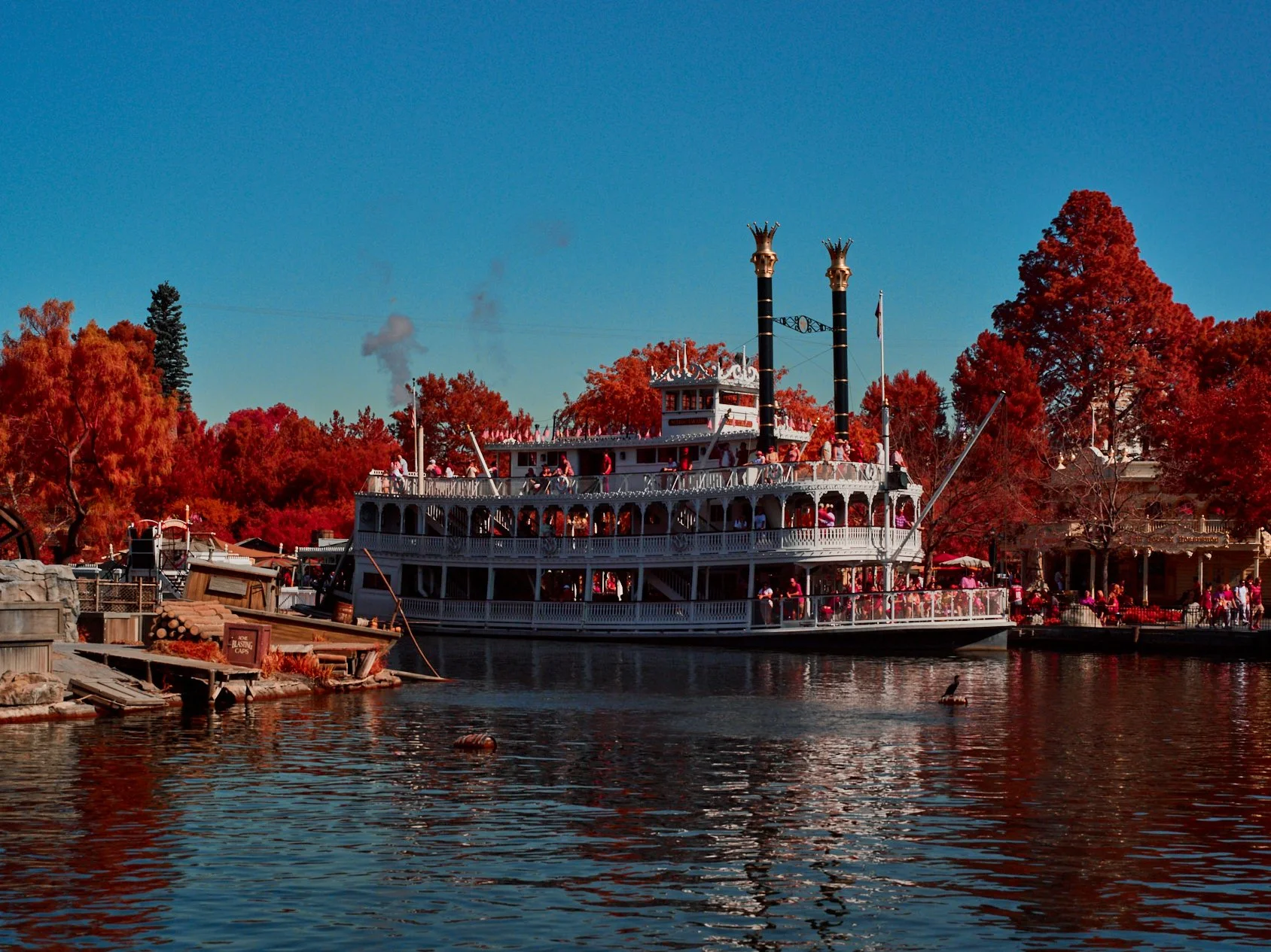 Imagine the Disney River Cruise boat gliding through an infrared landscape, like it’s traveling through a world within a world.