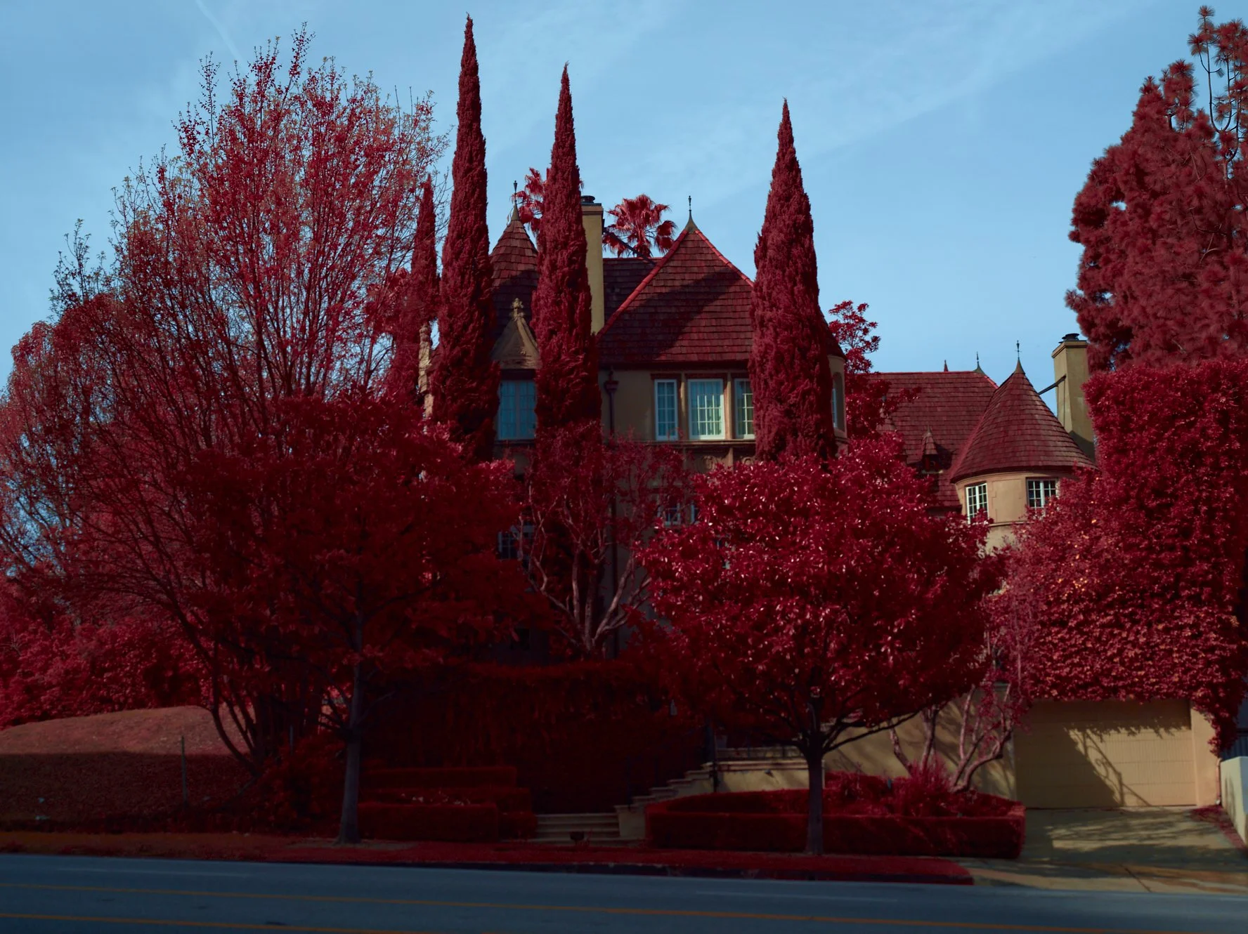 Check out this vintage manor in Beverly Hills! It’s in hyperspectral color, and the green is blocked by a blue filter. You can see the infrared light turning the foliage red. Isn’t that cool? 