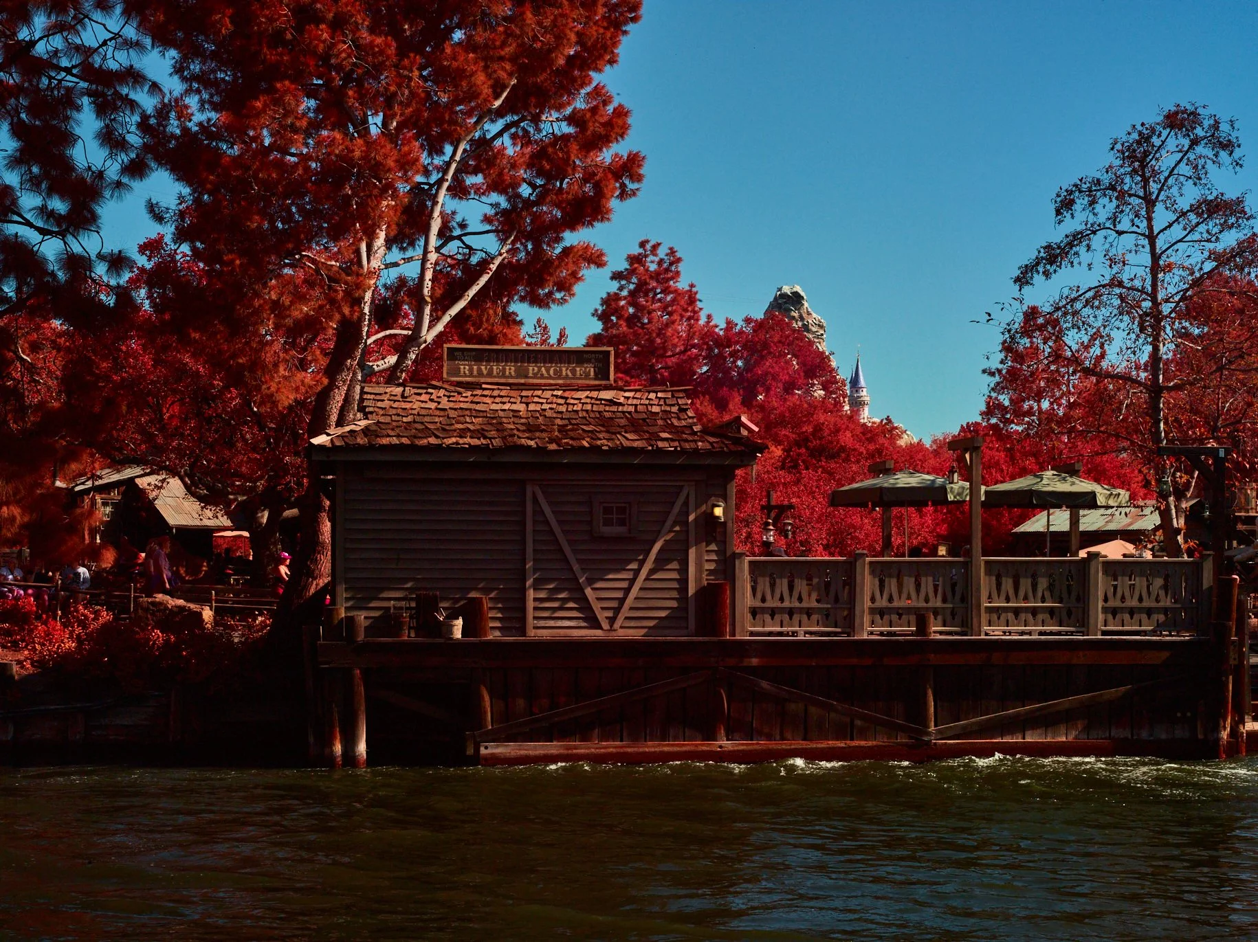 The River Boat Dock at Disneyland, as seen from Tom Sawyer Island in Infared. The sky is a lovely blue, the wood is a warm brown, and the trees are a vibrant red, creating a magical world within a world. 