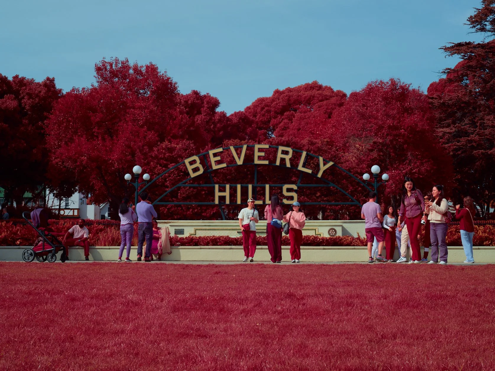 2024-08-23-©KevinAndrewLandes-Zoo-001-MSMD 20.jpg