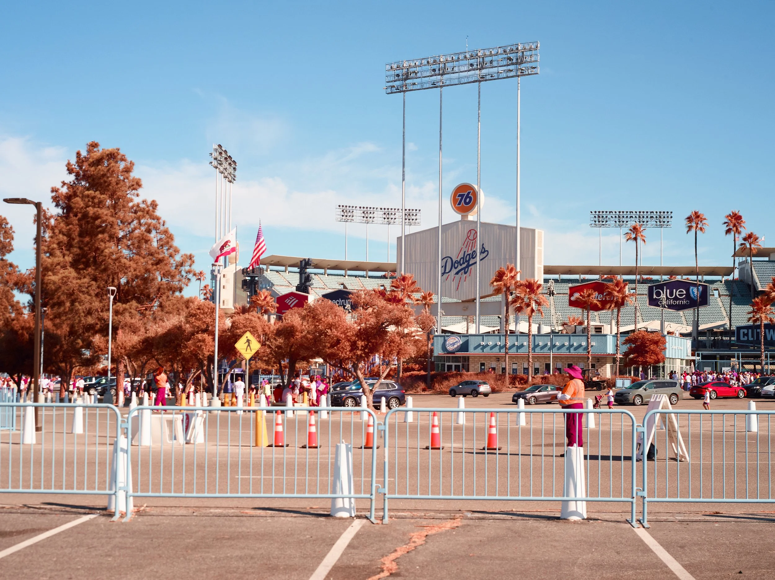 2024-08-23-©KevinAndrewLandes-Zoo-001-MSMD 17.jpg