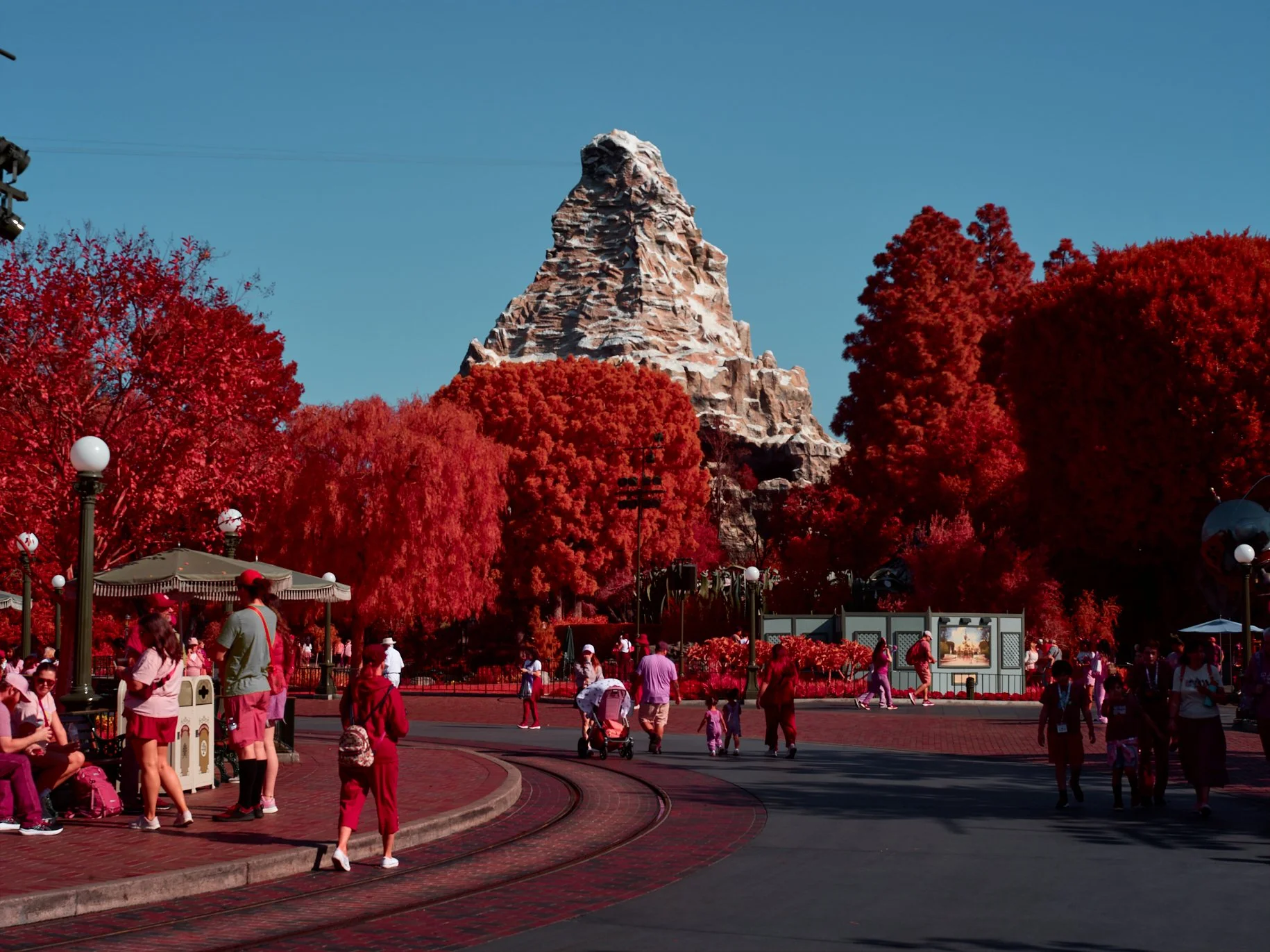 The Matterhorn stands tall against the trees, its infrared glow casting a red hue over the leaves, blending the spectral worlds within. 