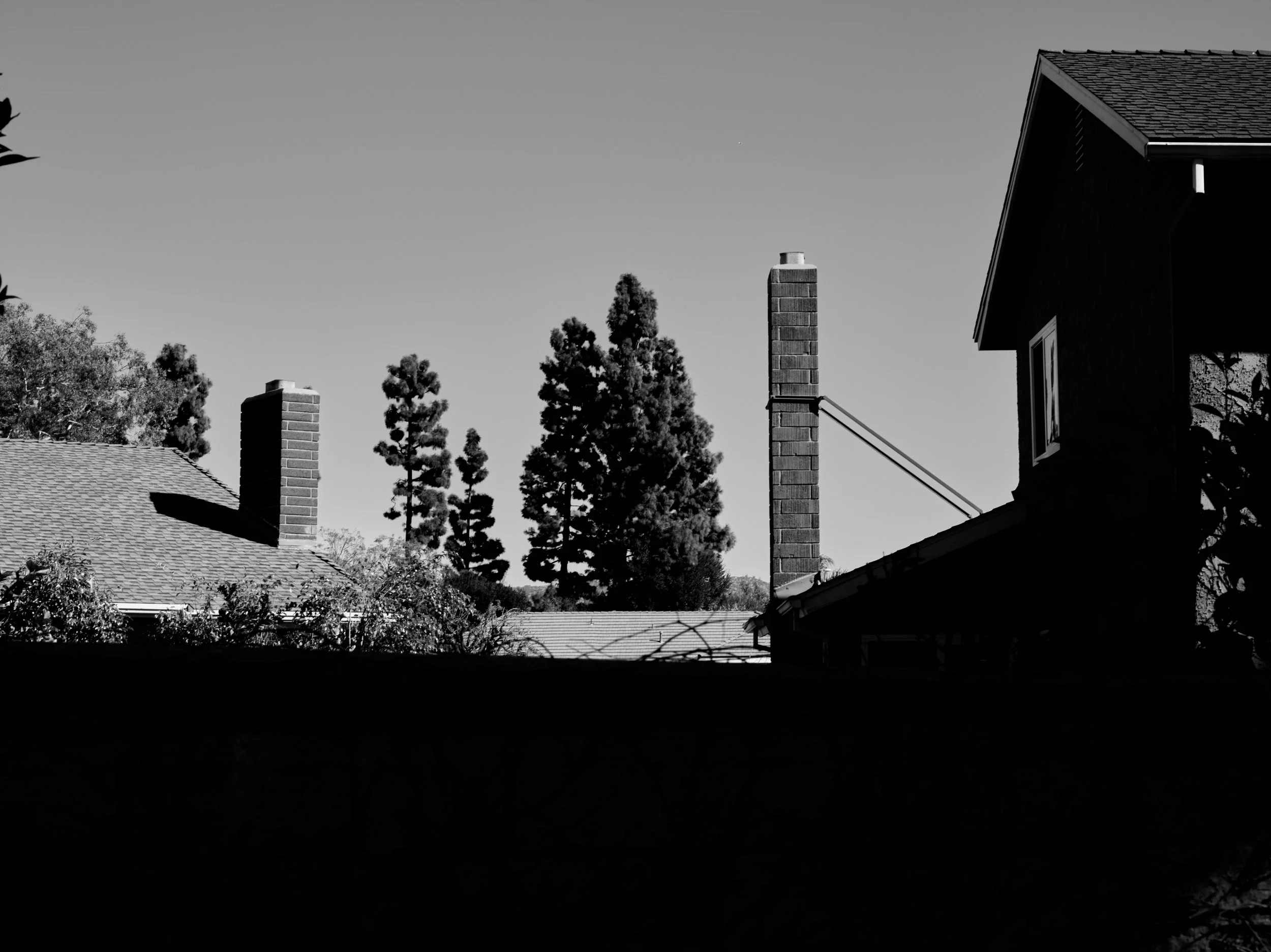 2024-08-23-©KevinAndrewLandes-Zoo-001-MSMD 49.jpg