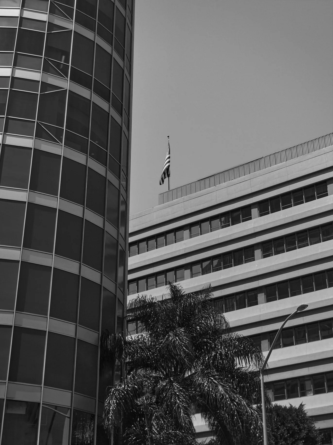 2024-08-23-©KevinAndrewLandes-Zoo-001-MSMD 29.jpg