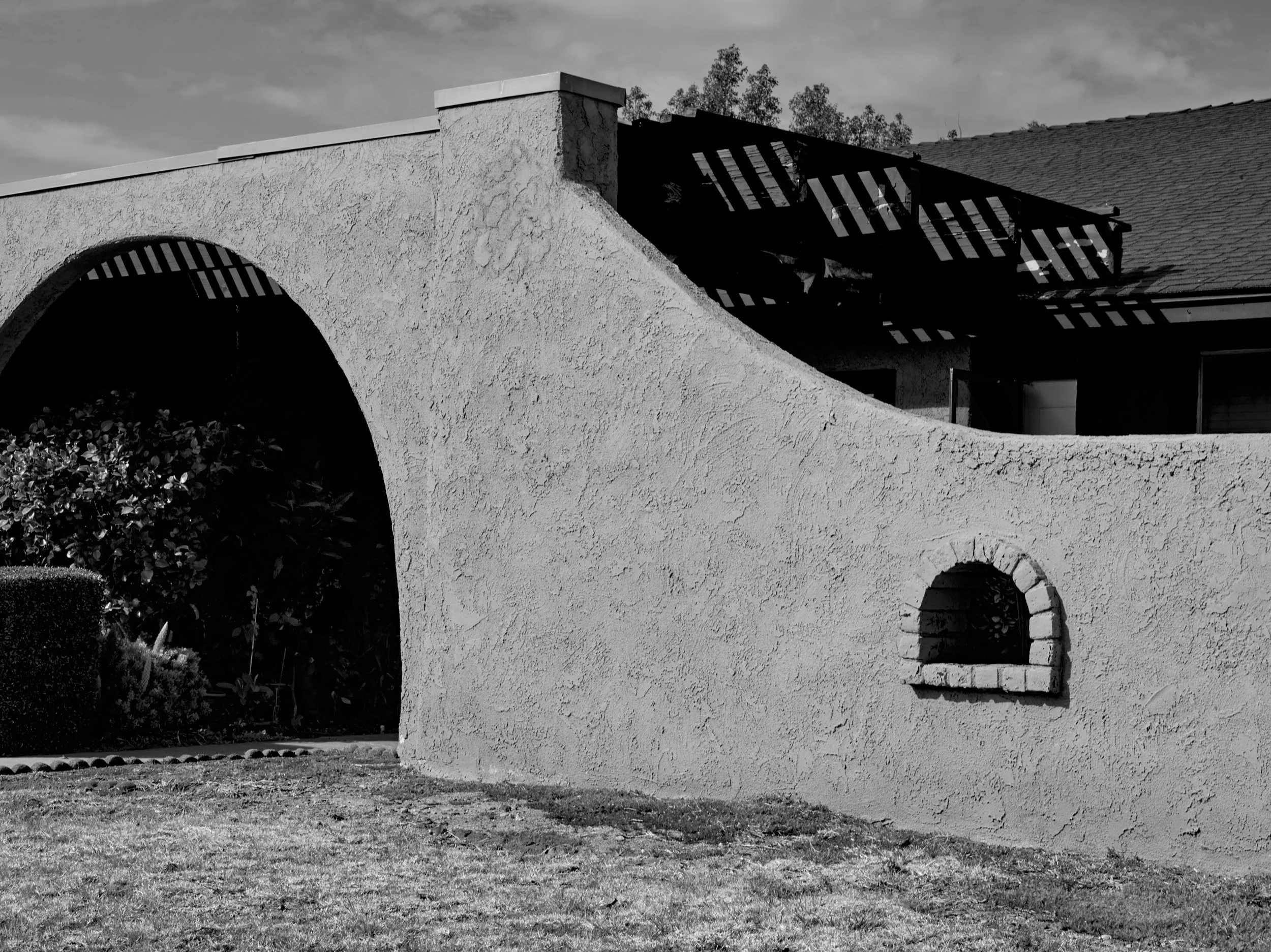 2024-08-23-©KevinAndrewLandes-Zoo-001-MSMD 29.jpg