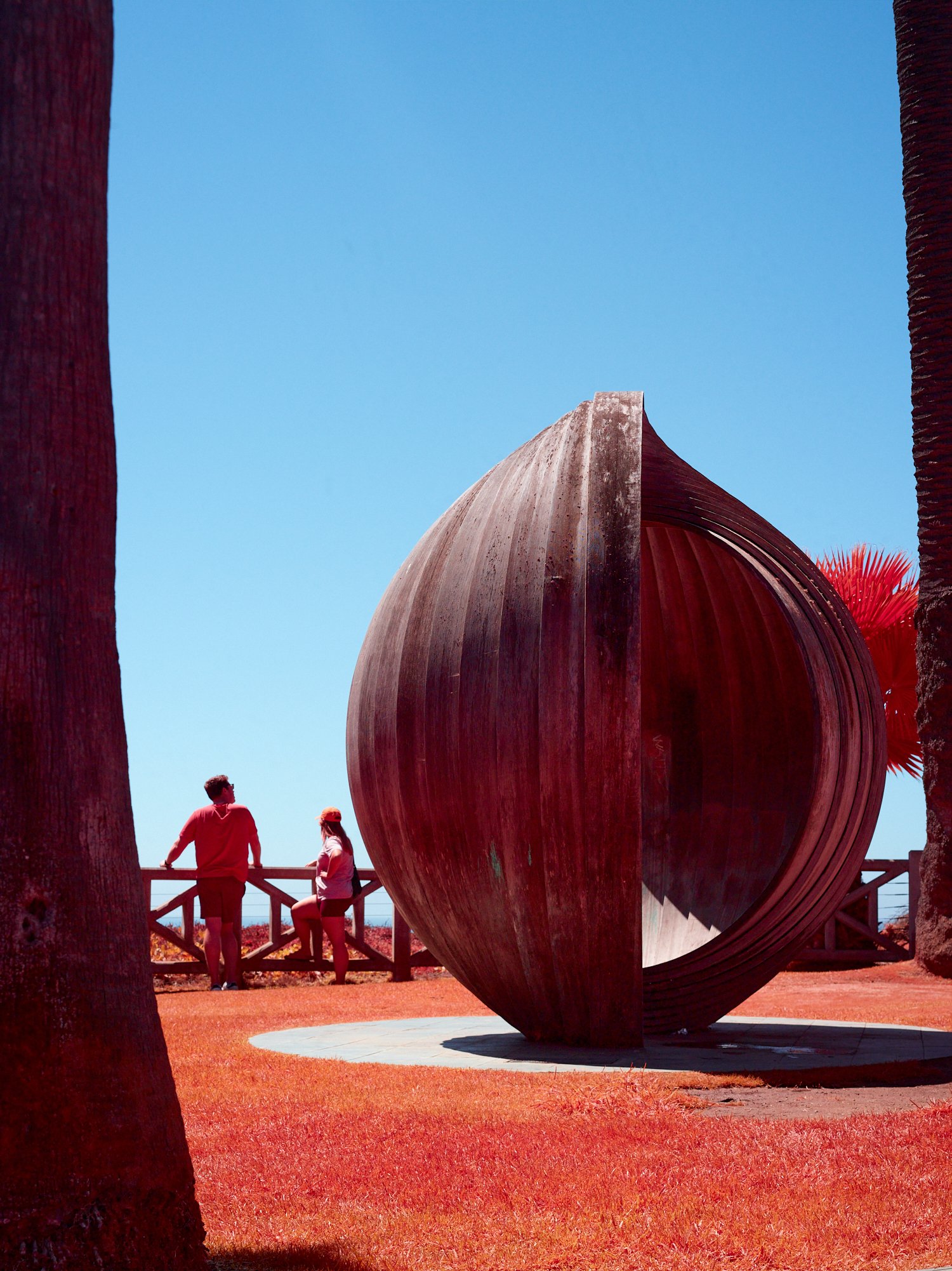 2024-08-23-©KevinAndrewLandes-Zoo-001-MSMD 7.jpg