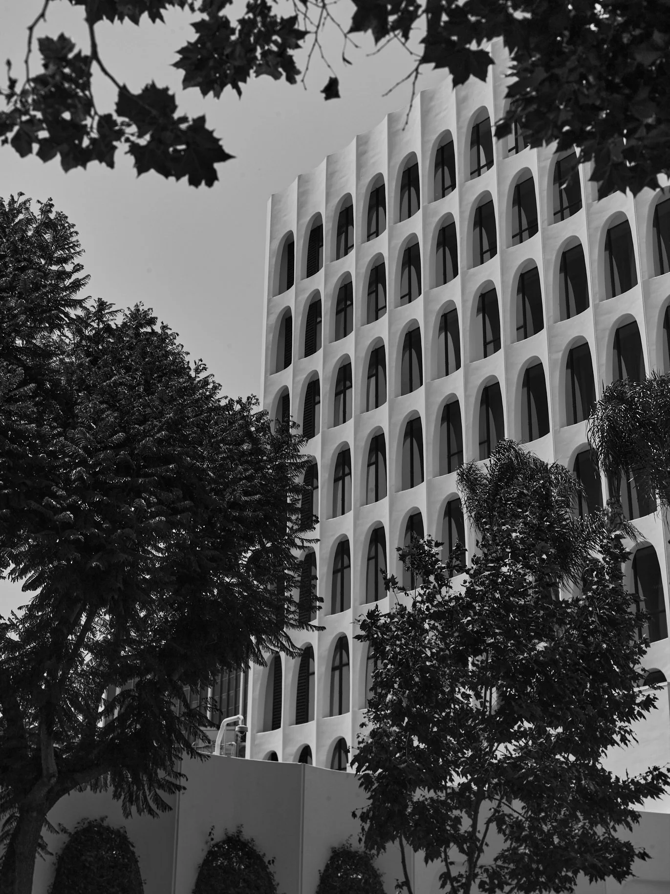 2024-08-23-©KevinAndrewLandes-Zoo-001-MSMD 27.jpg